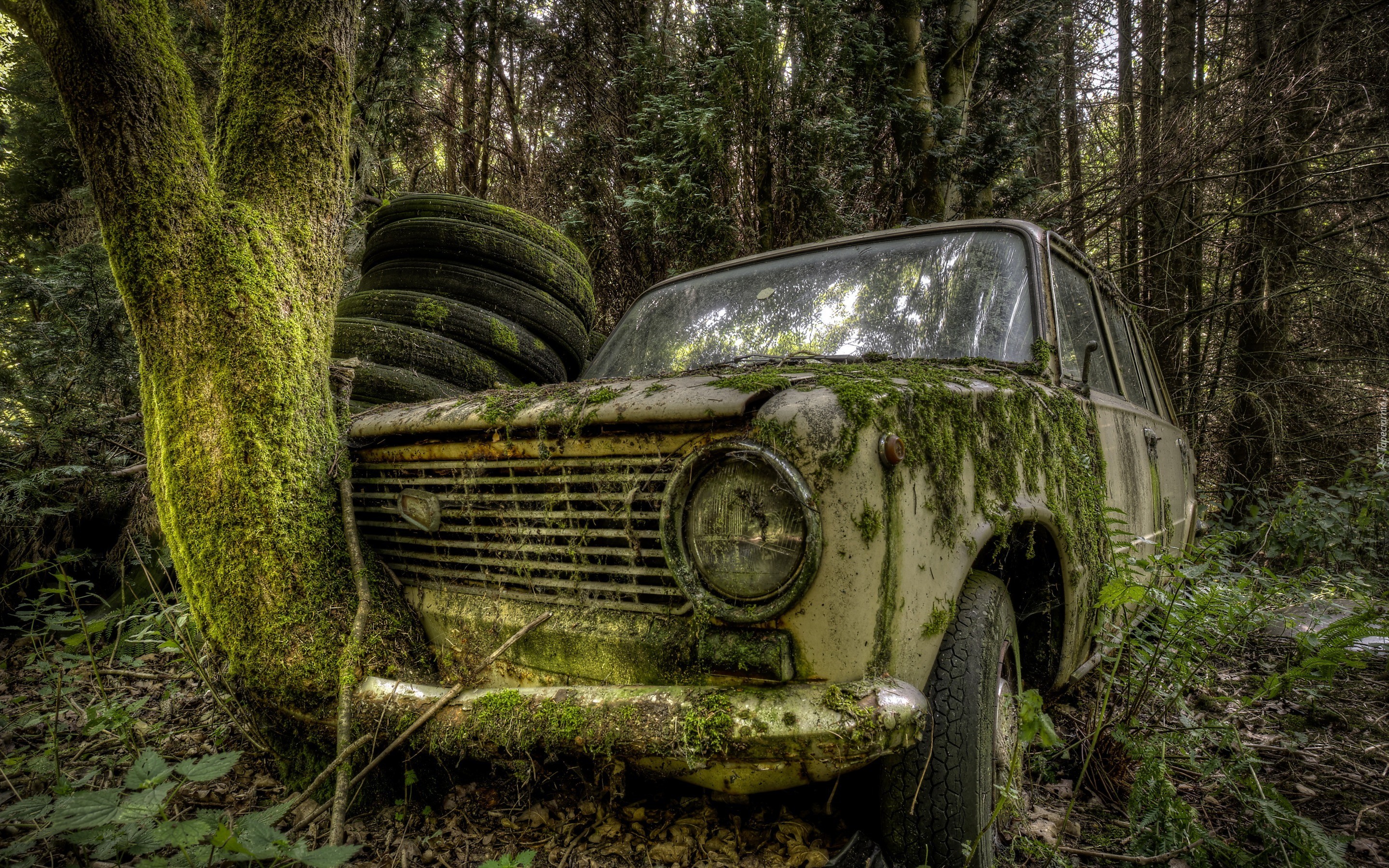 Opuszczony stary samochód Łada pokryty mchem w lesie