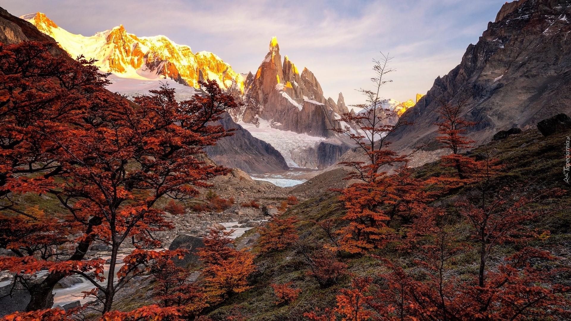 Góry, Ośnieżone, Jesień, Drzewa, Argentyna, Patagonia, Góra Fitz Roy, Park Narodowy Los Glaciares