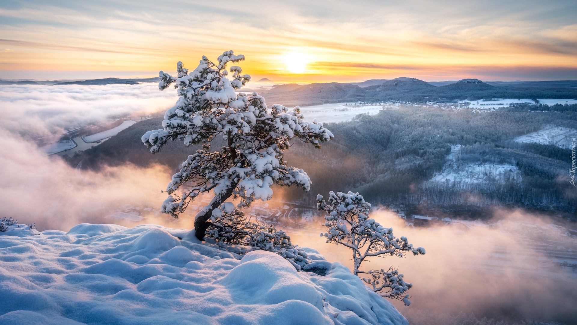 Wschód słońca, Niemcy, Park Narodowy Saskiej Szwajcarii, Góry Połabskie, Zima, Drzewa, Mgła