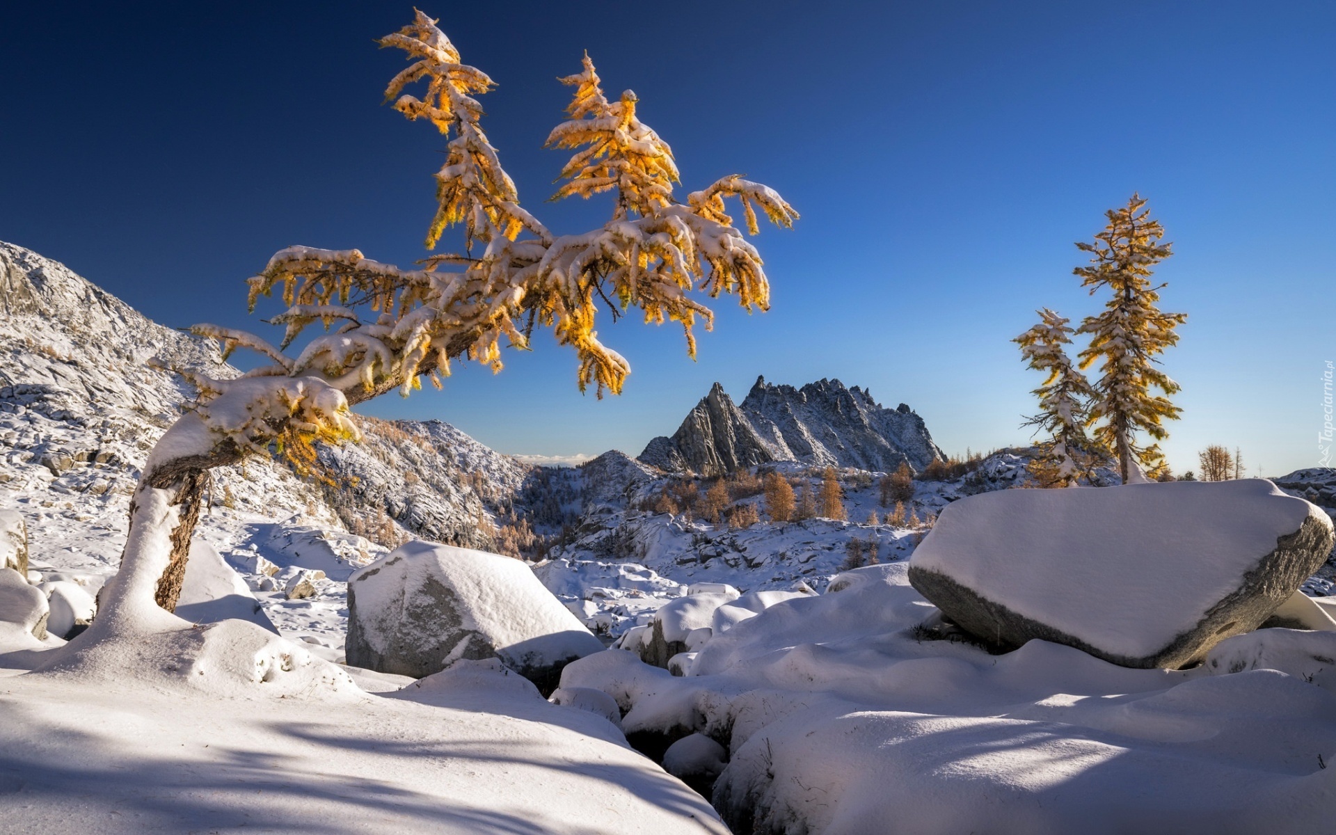 Zima, Góry, Drzewa, Kamienie