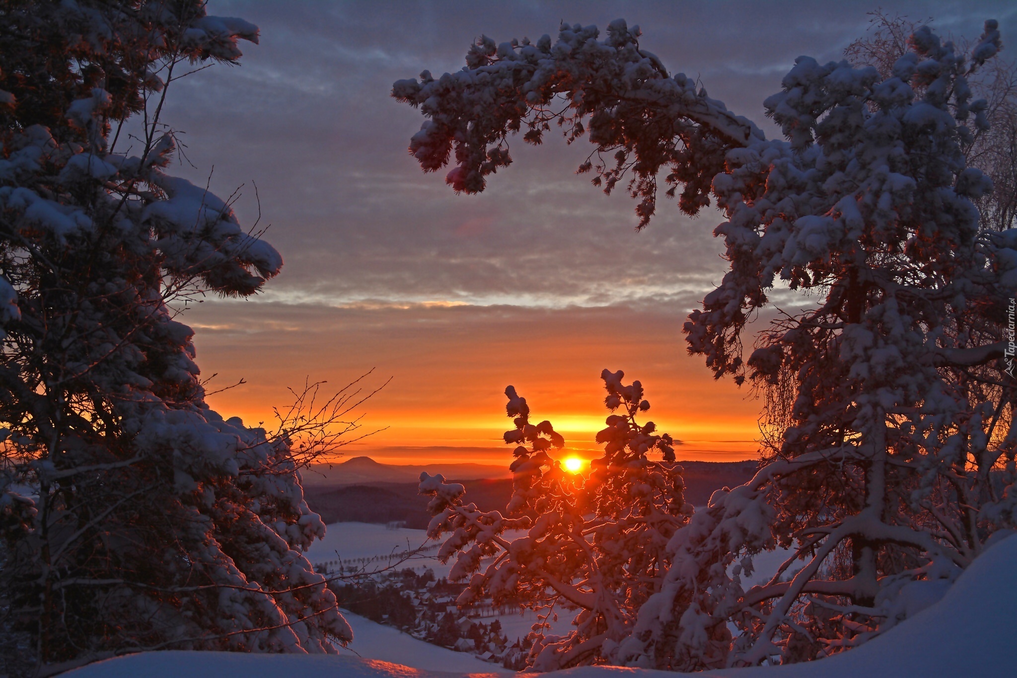 Zachód słońca, Drzewa, Zima