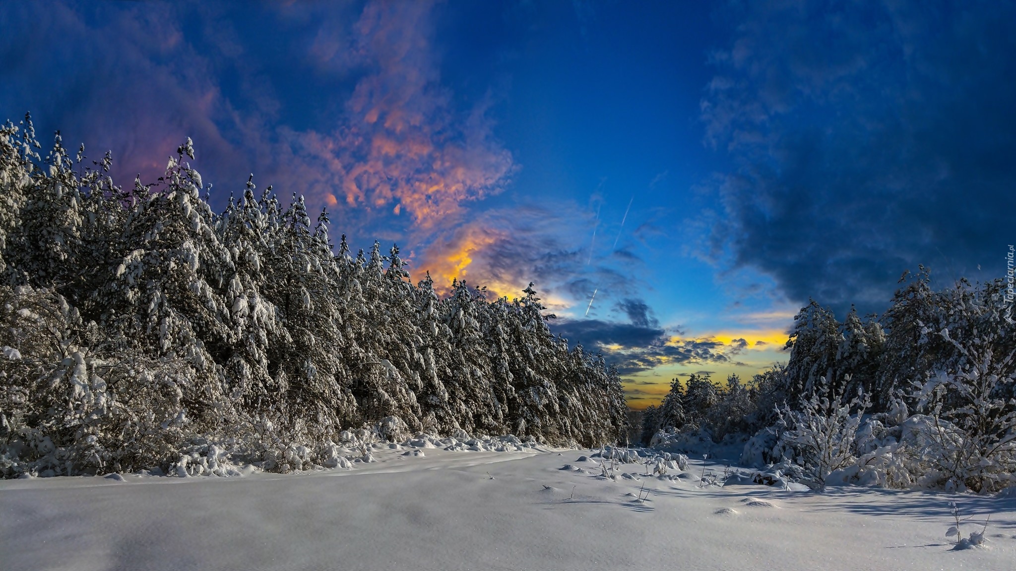 Zima, Drzewa, Śnieg, Zachód słońca
