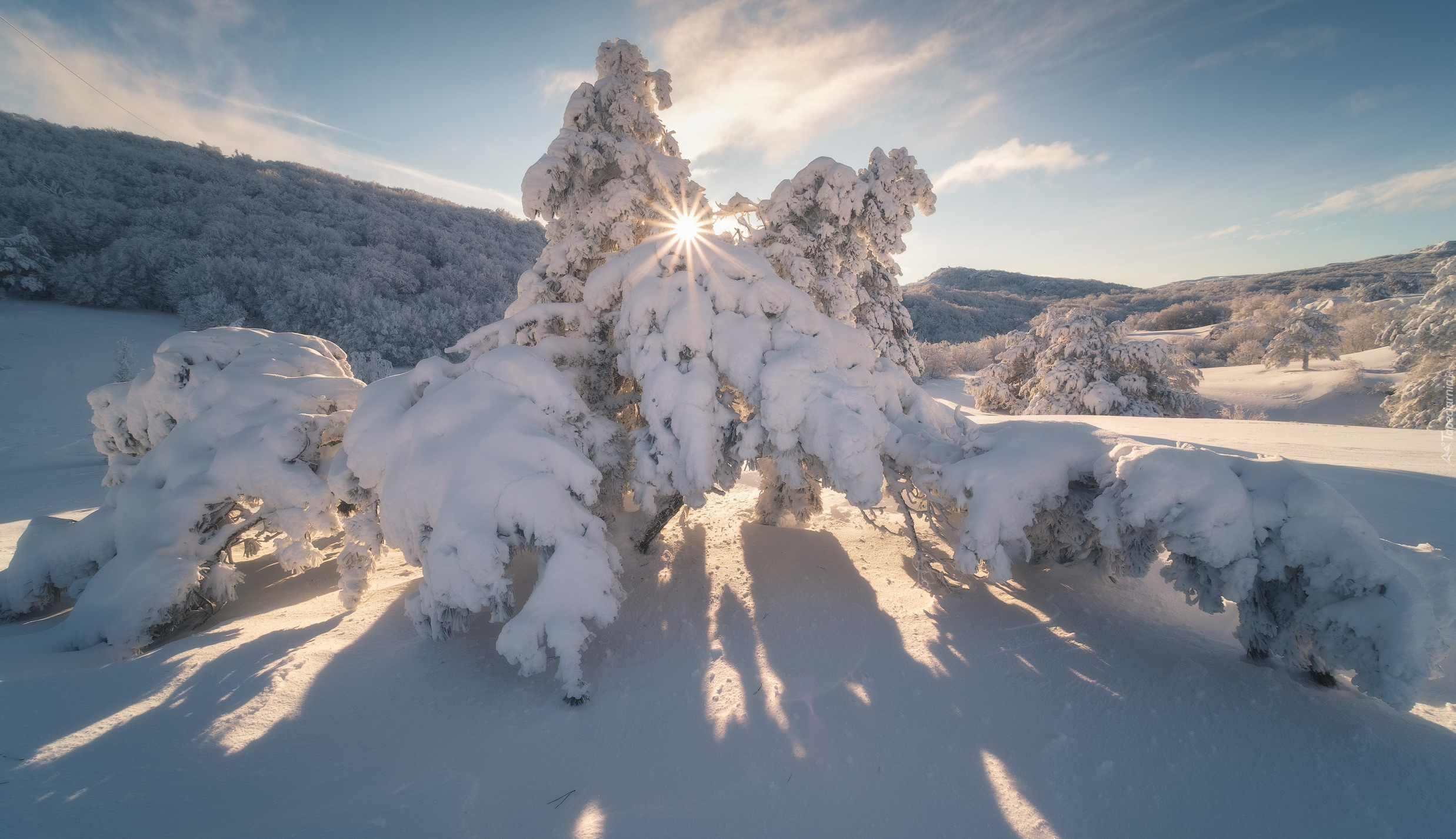Zima, Śnieg, Drzewa, Góry Krymskie, Ukraina, Promienie słońca