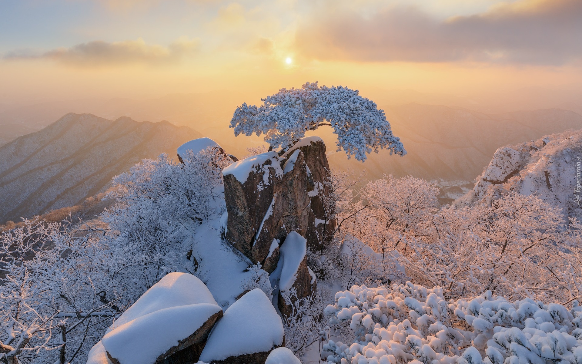 Zima, Wschód słońca, Góry, Skały, Ośnieżone, Drzewa, Sosna, Park Prowincjonalny Daedunsan, Prowincja Jeolla Północna, Korea Południowa