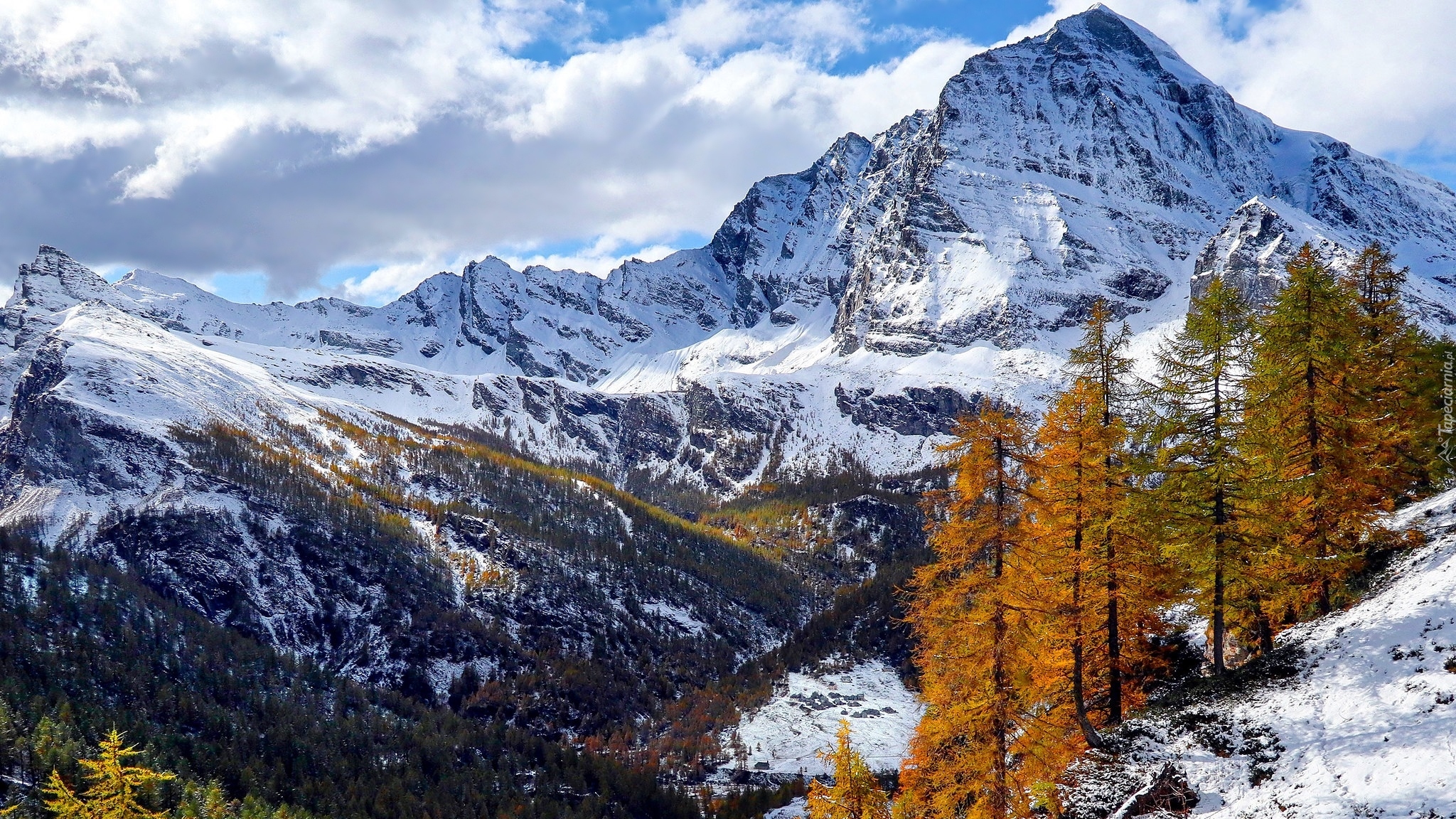Zima, Góry, Śnieg, Żółte, Drzewa, Modrzewie, Park przyrody Alpe Veglia i Alpe Devero, Włochy