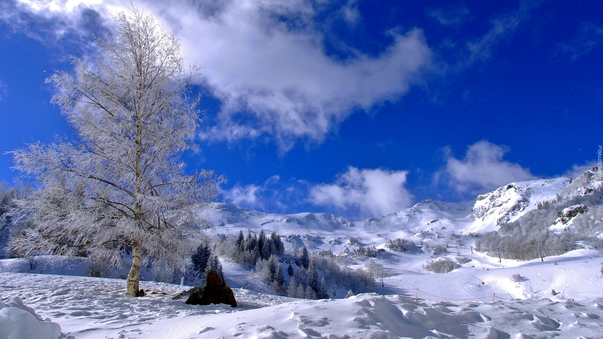 Zima, Drzewa, Góry, Wzgórza