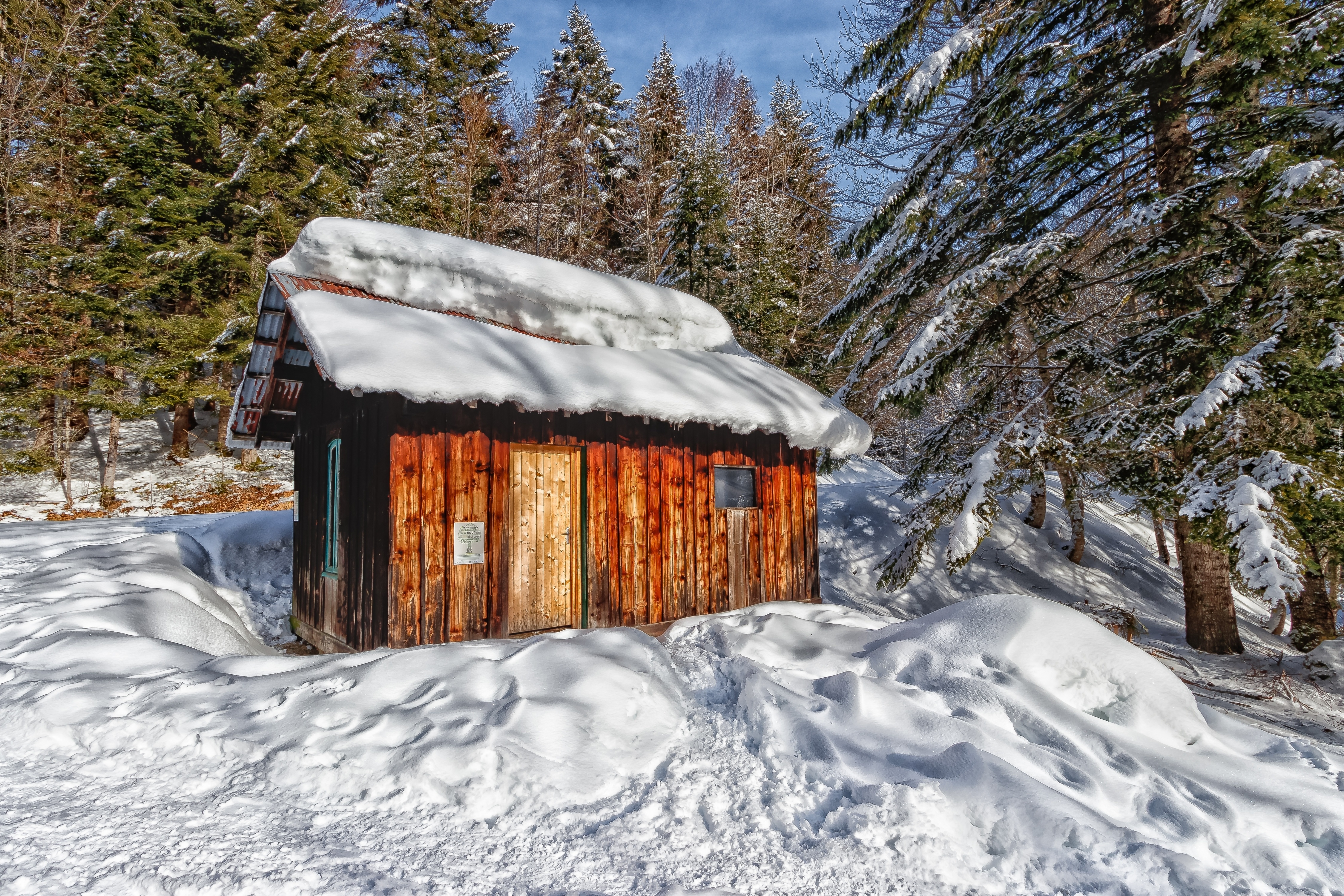 Drewniany, Domek, Las, Śnieg, Drzewa
