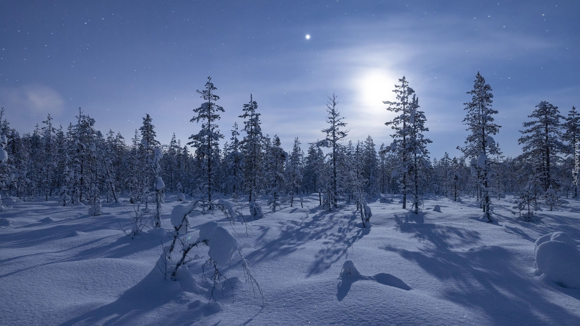 Zima, Noc, Las, Księżyc, Gwiazdy, Śnieg, Drzewa