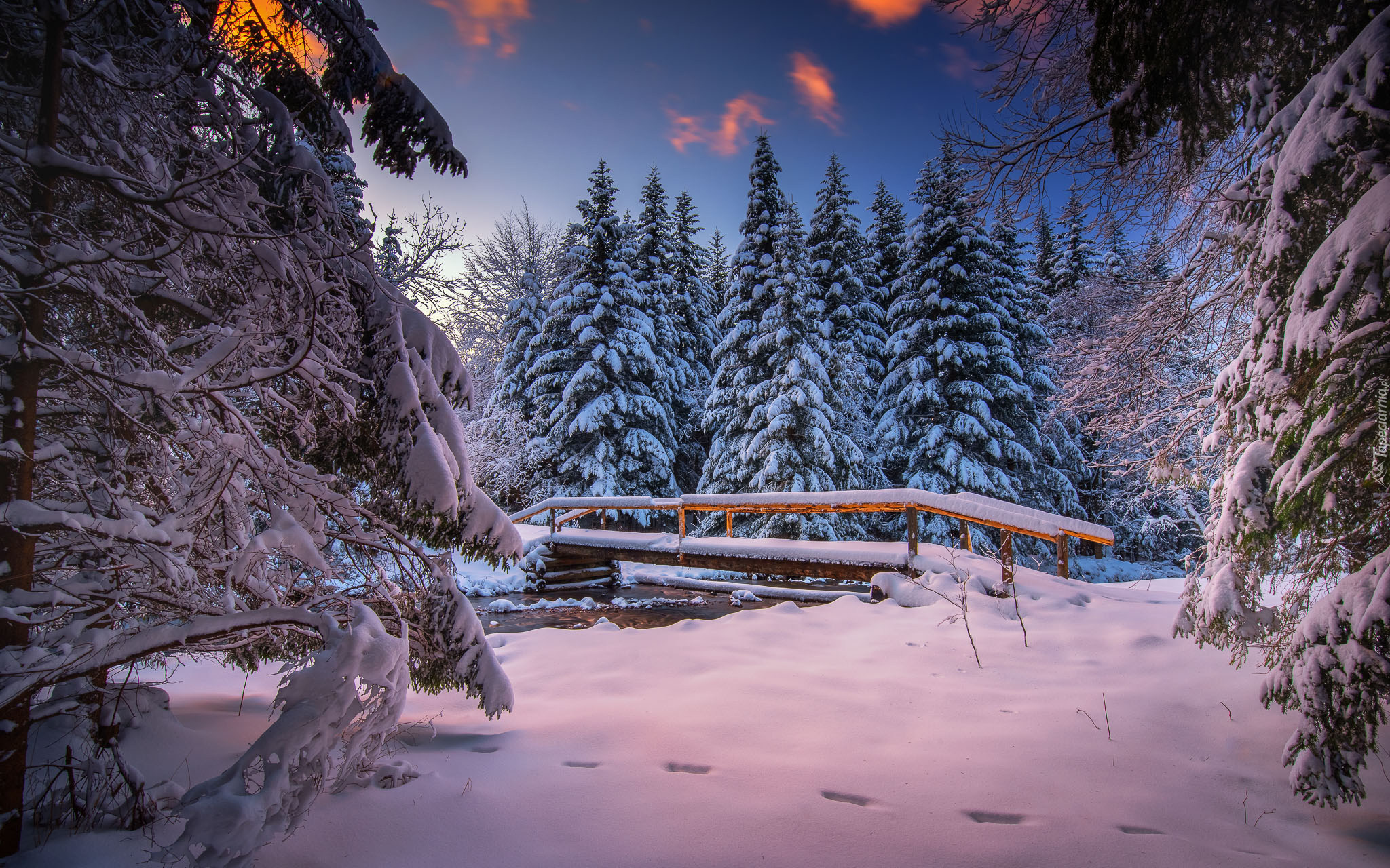 Zima, Śnieg, Drzewa, Las, Most, Drewniany, Mostek, Rzeka