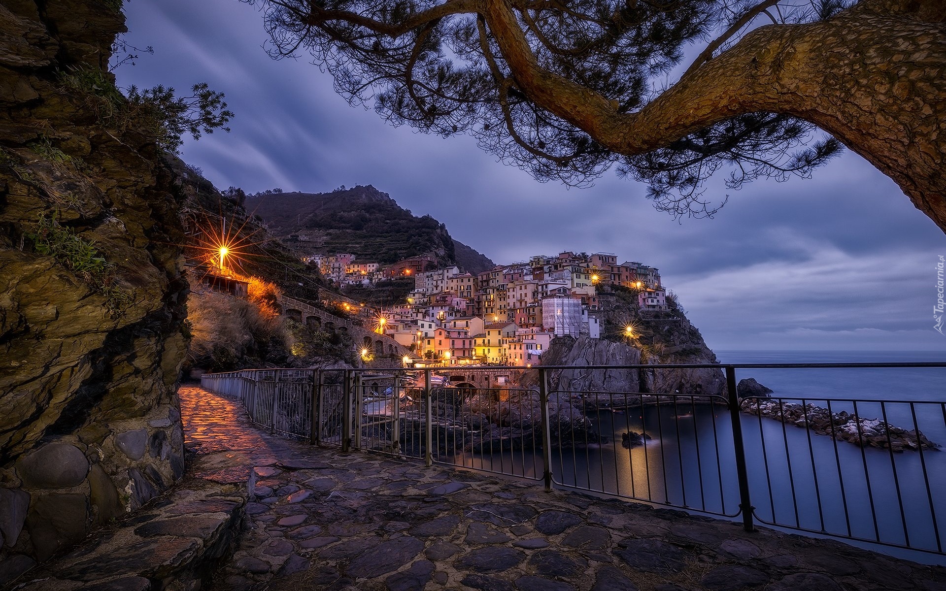 Włochy, Gmina Riomaggiore, Manarola, Cinque Terre, Morze Liguryjskie, Kolorowe, Domy, Światła, Noc, Zatoka