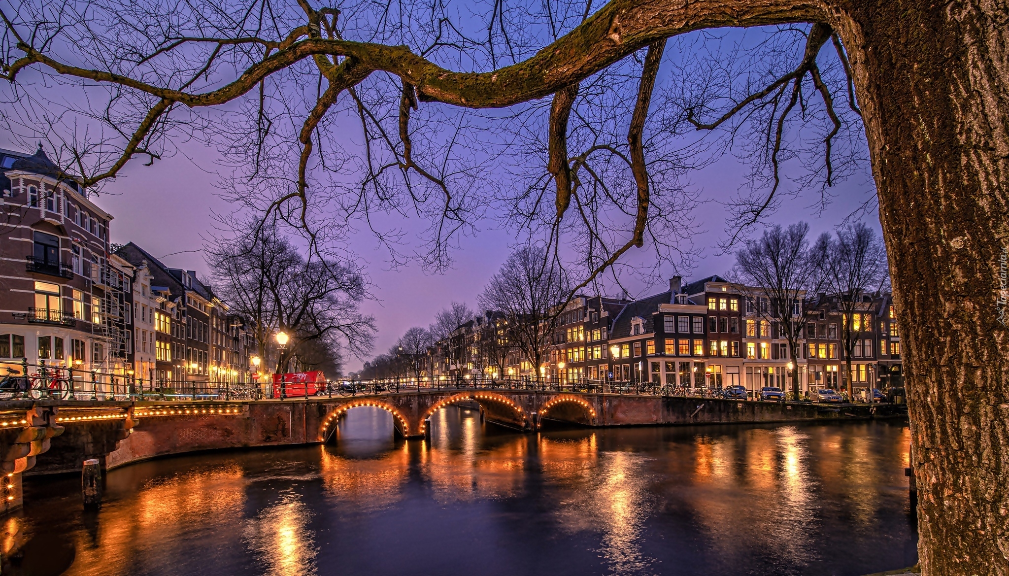 Holandia, Amsterdam, Kanał, Most, Drzewa, Domy, Noc, Światła
