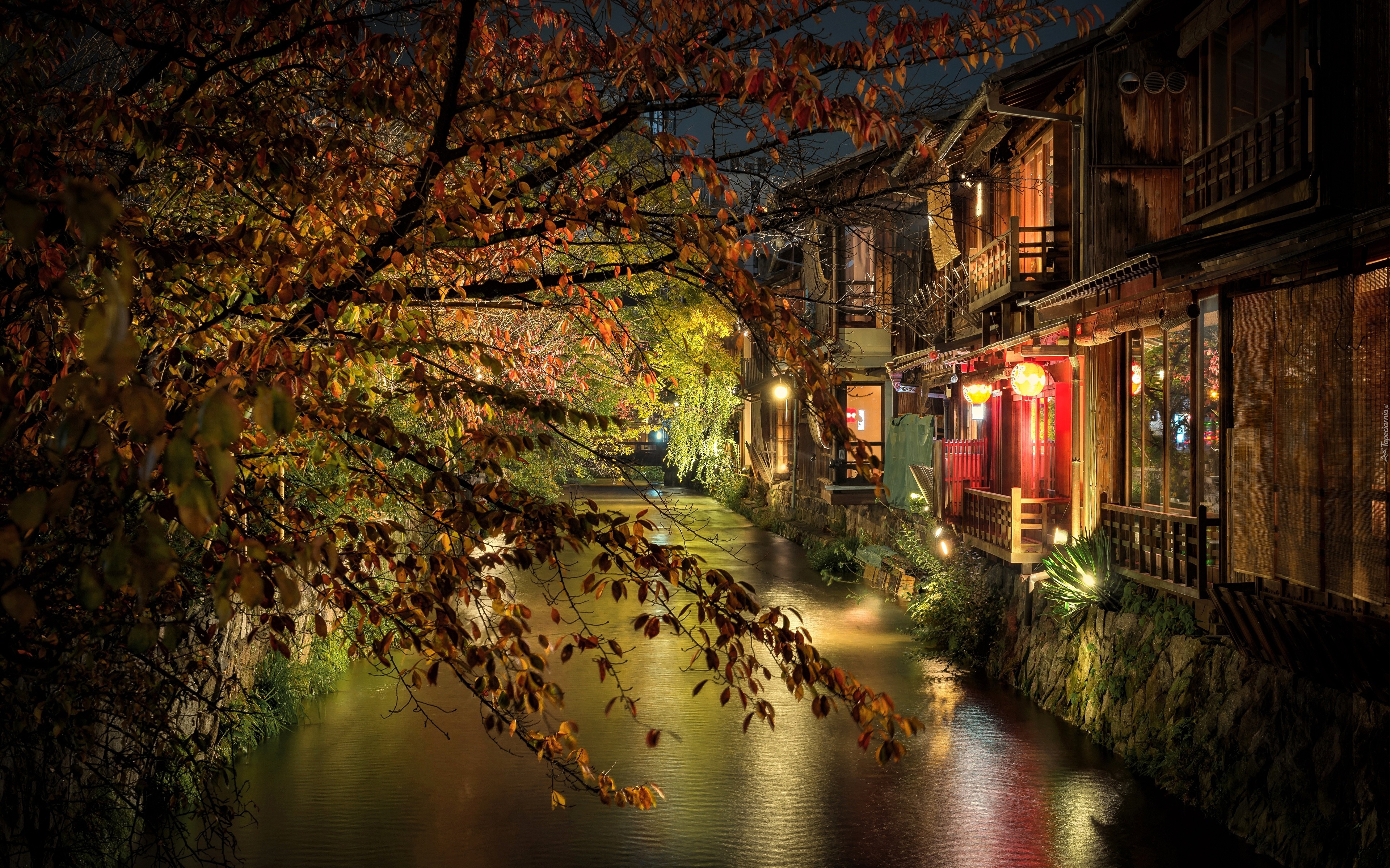 Drzewo, Rzeka, Domy, Lampy, Oświetlenie, Noc, Kioto, Japonia