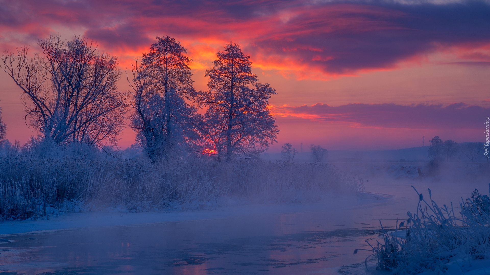 Zima, Rzeka Gwda, Mgła, Śnieg, Drzewa, Zachód słońca, Polska