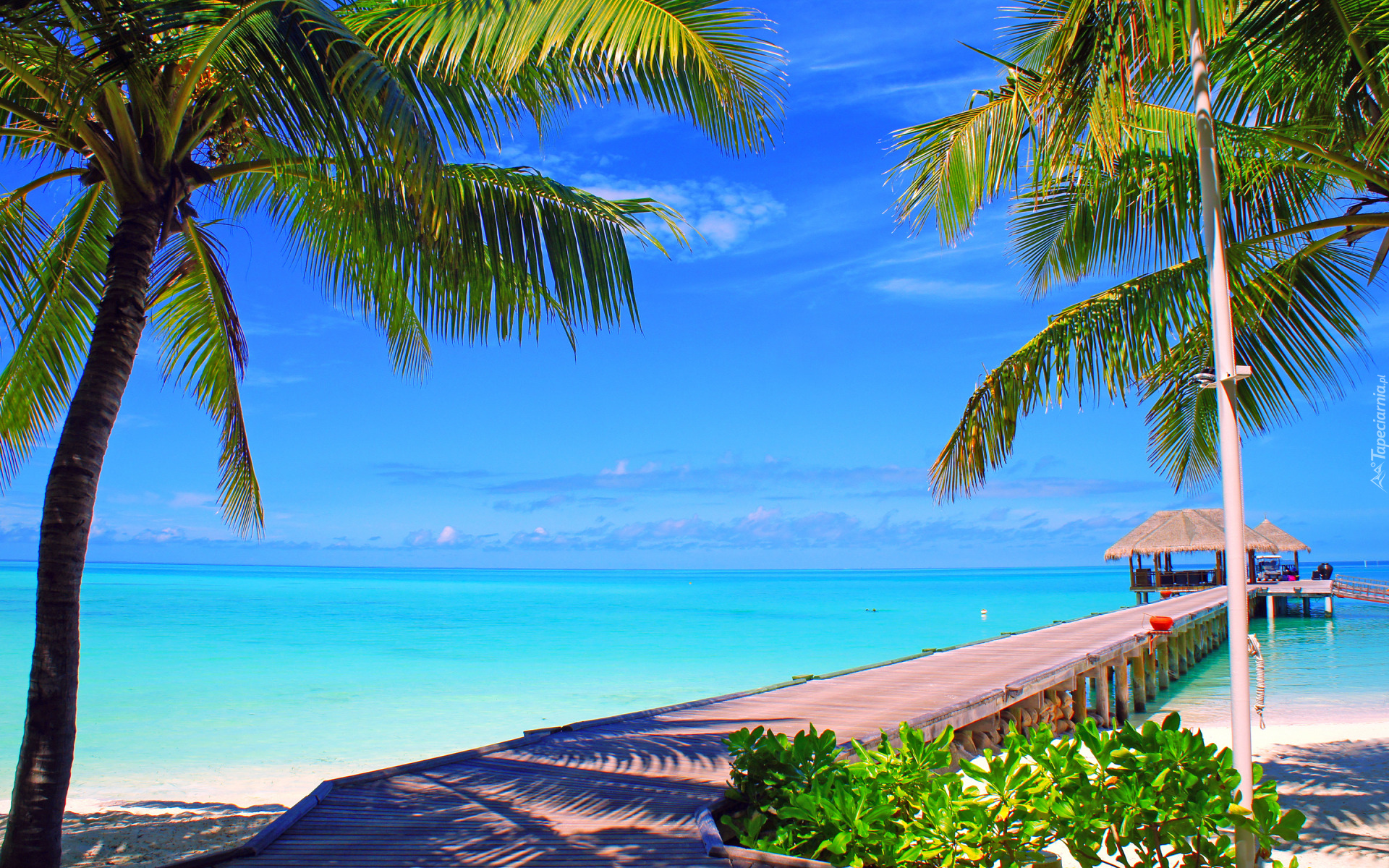 Niebo, Morze, Palmy, Wyspa, Pomost, Wyspa Nalaguraidhoo, Malediwy