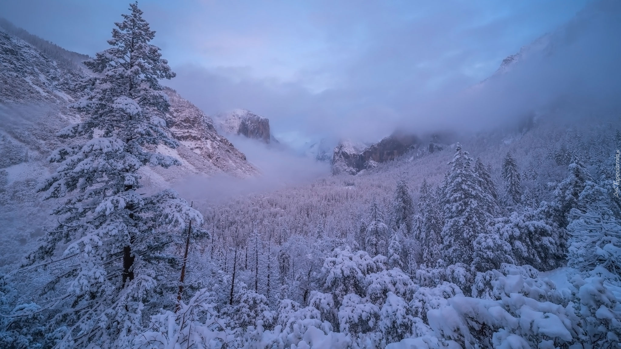 Zima, Śnieg, Góry, Drzewa, Mgła, Park Narodowy Yosemite, Kalifornia, Stany Zjednoczone