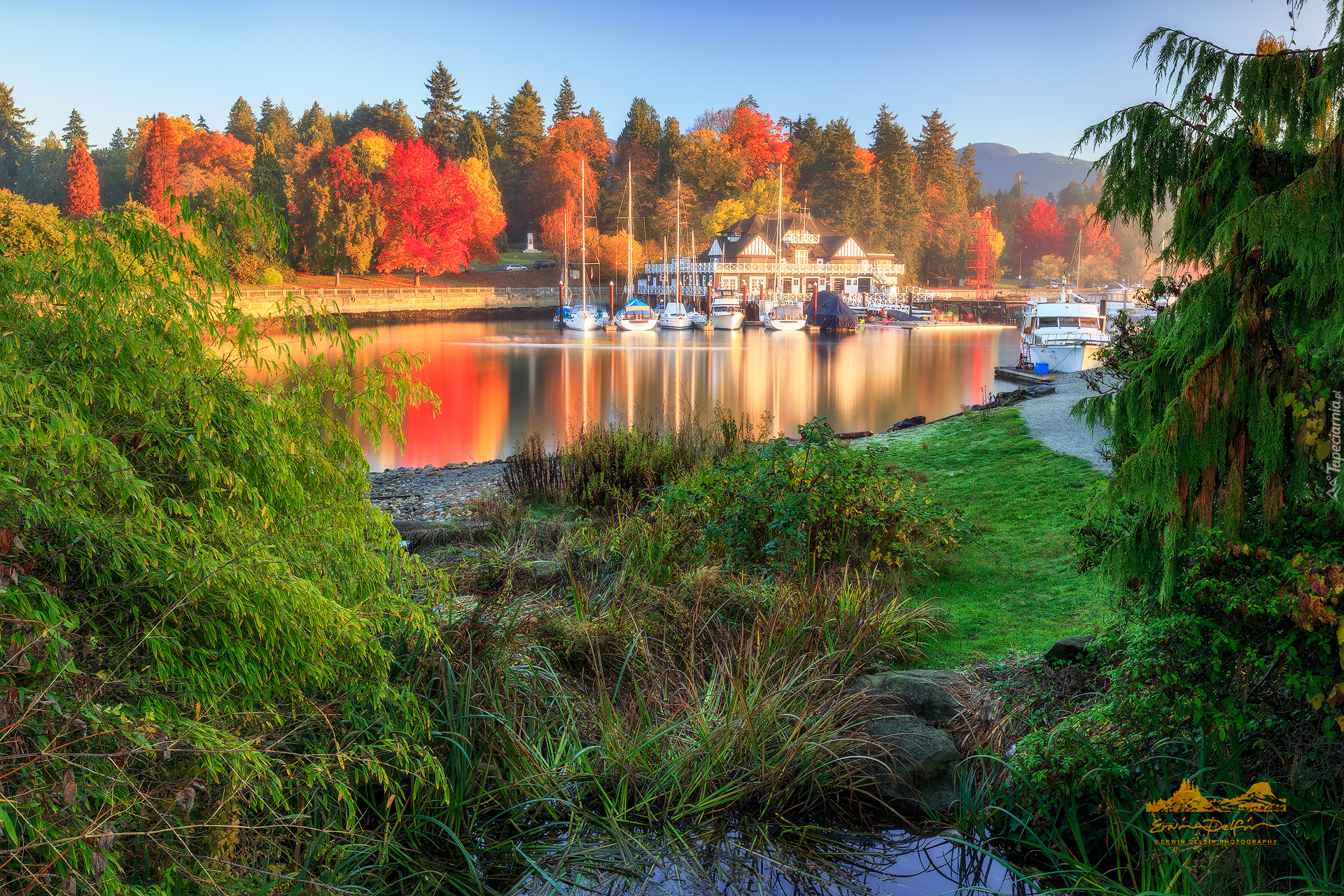 Kanada, Vancouver, Kolumbia Brytyjska, Zatoka, Stanley Park, Royal Vancouver Yacht Club, Drzewa, Jesień, Żaglówki