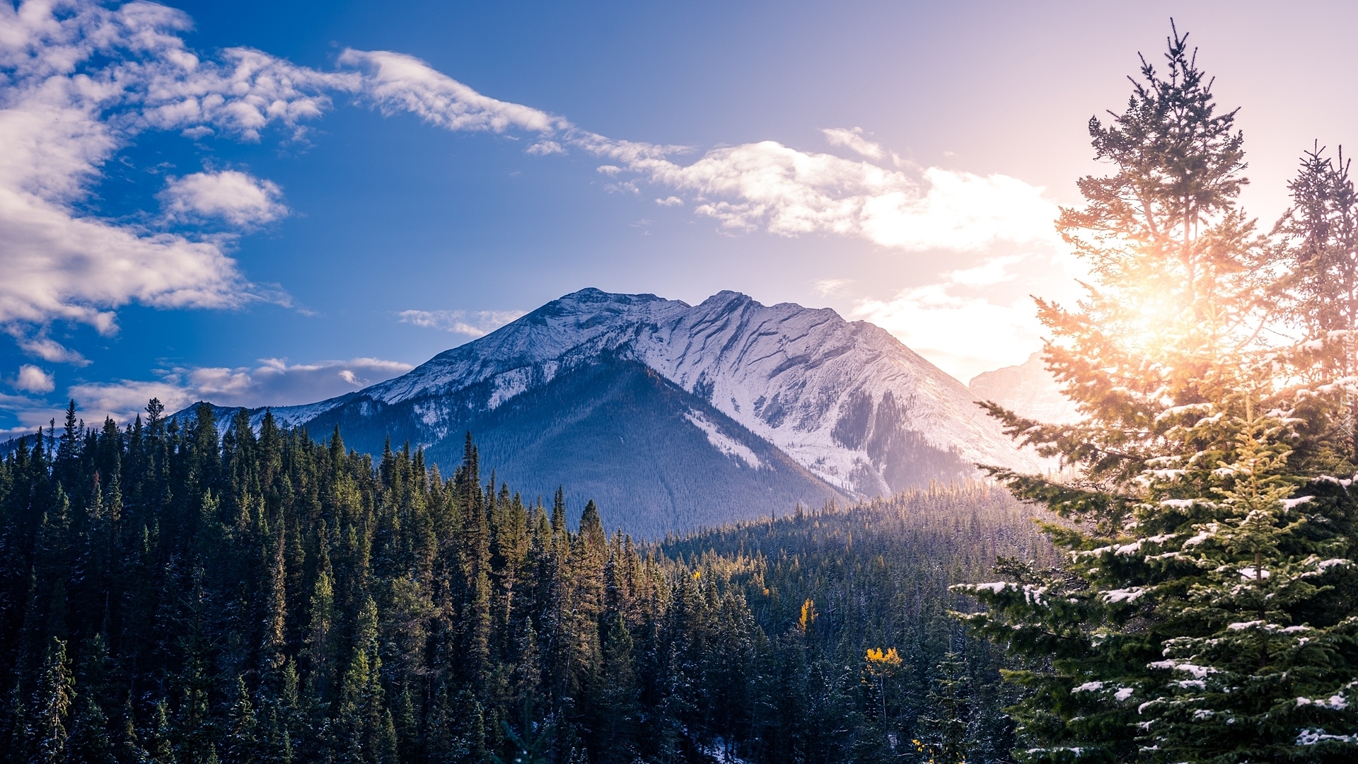 Kanada, Prowincja Alberta, Park Narodowy Banff, Góry Skaliste, Las, Drzewa, Wschód słońca