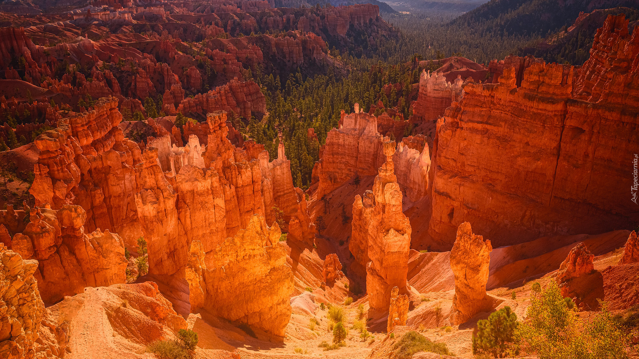 Skały, Park Narodowy Bryce Canyon, Kanion, Utah, Stany Zjednoczone