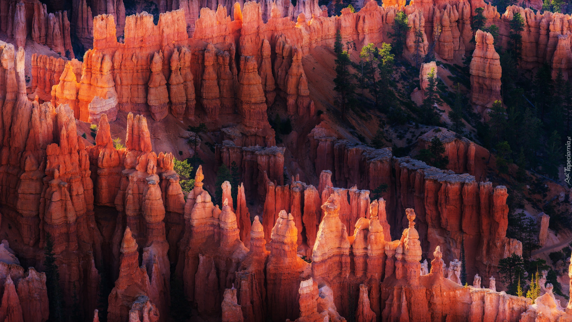 Kanion, Skały, Park Narodowy Bryce Canyon, Utah, Stany Zjednoczone