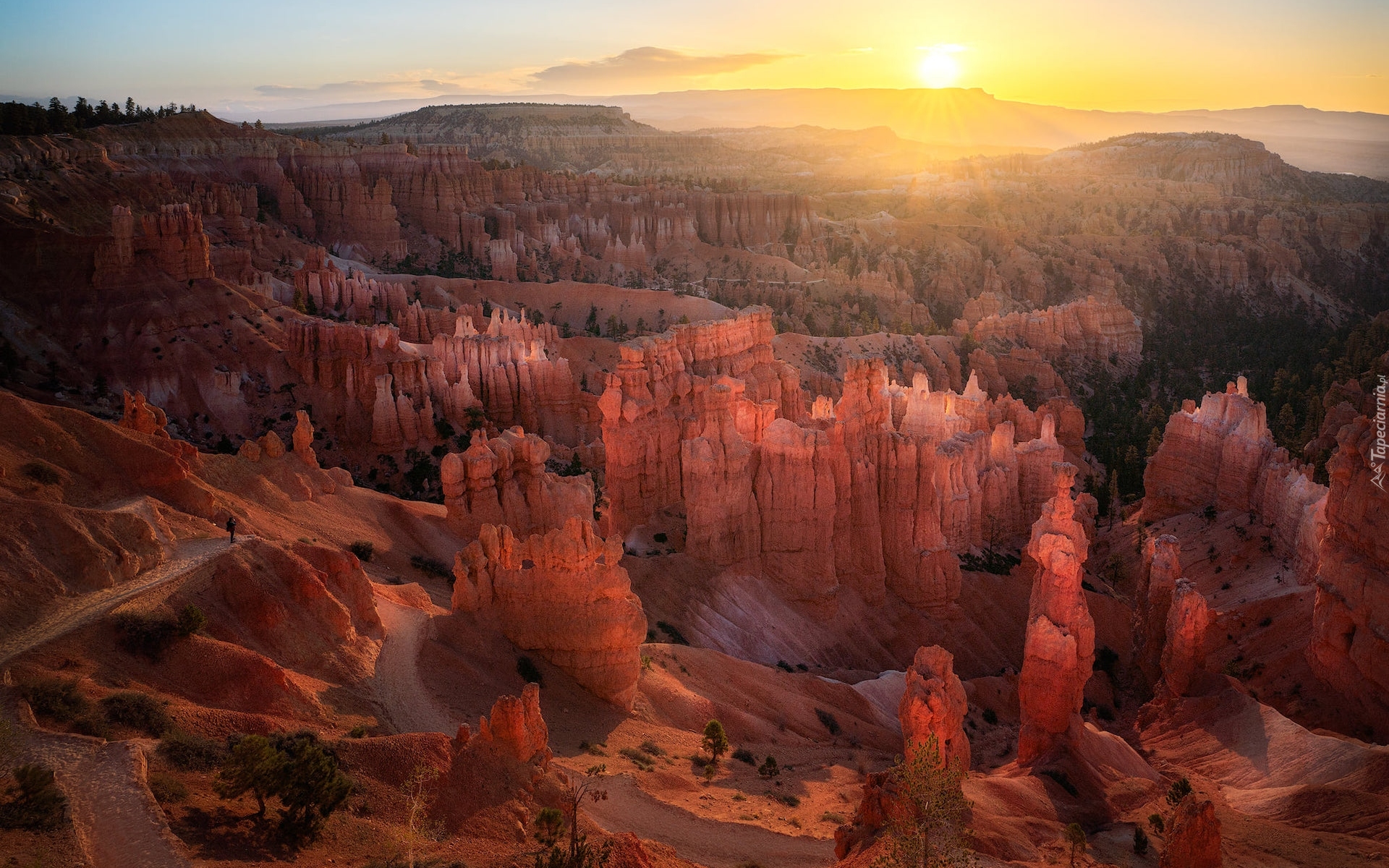 Stany Zjednoczone, Utah, Park Narodowy Bryce Canyon, Kanion, Skały, Wschód słońca
