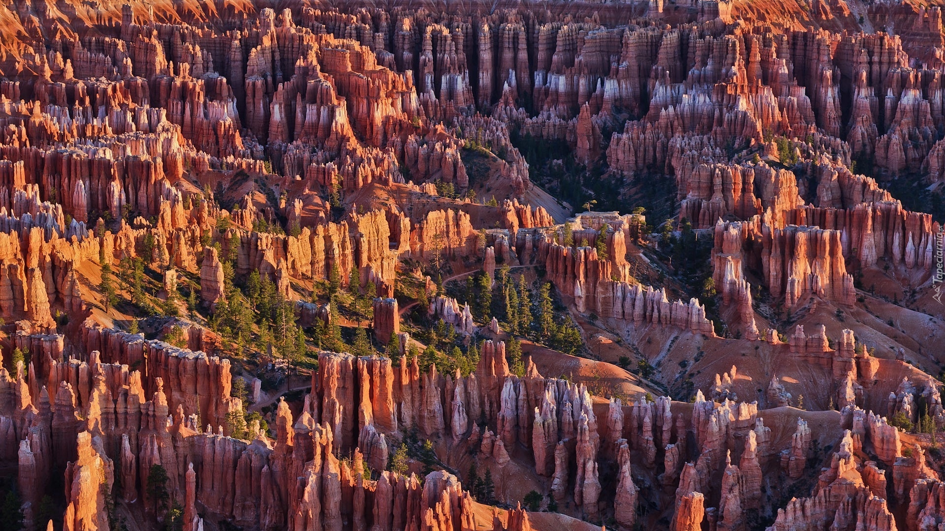 Skały, Kanion, Park Narodowy Bryce Canyon, Stan Utah, Stany Zjednoczone