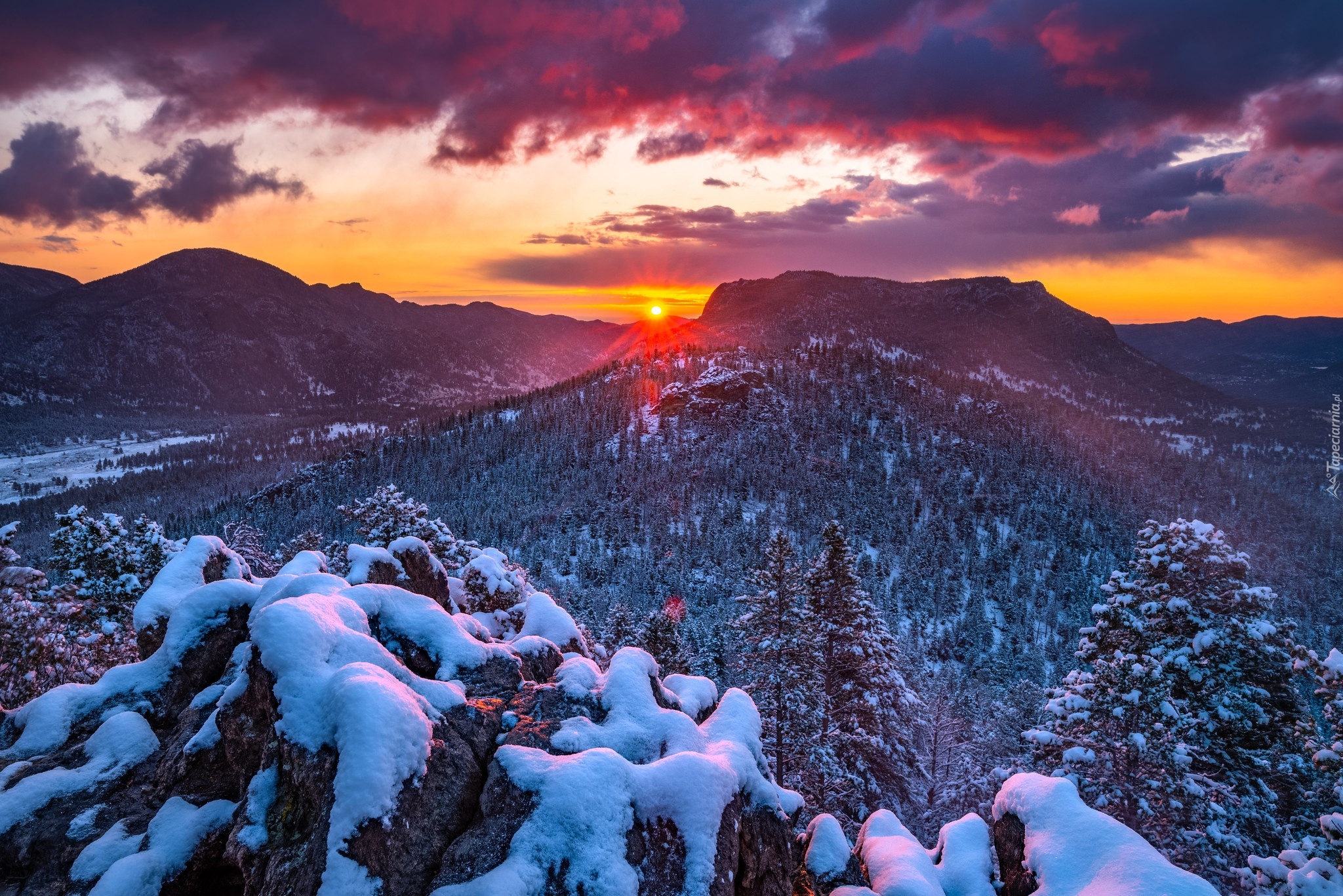 Zima, Las, Drzewa, Śnieg, Góry, Wschód słońca, Świt, Kolorado, Góry Skaliste, Park Narodowy Gór Skalistych, Stany Zjednoczone