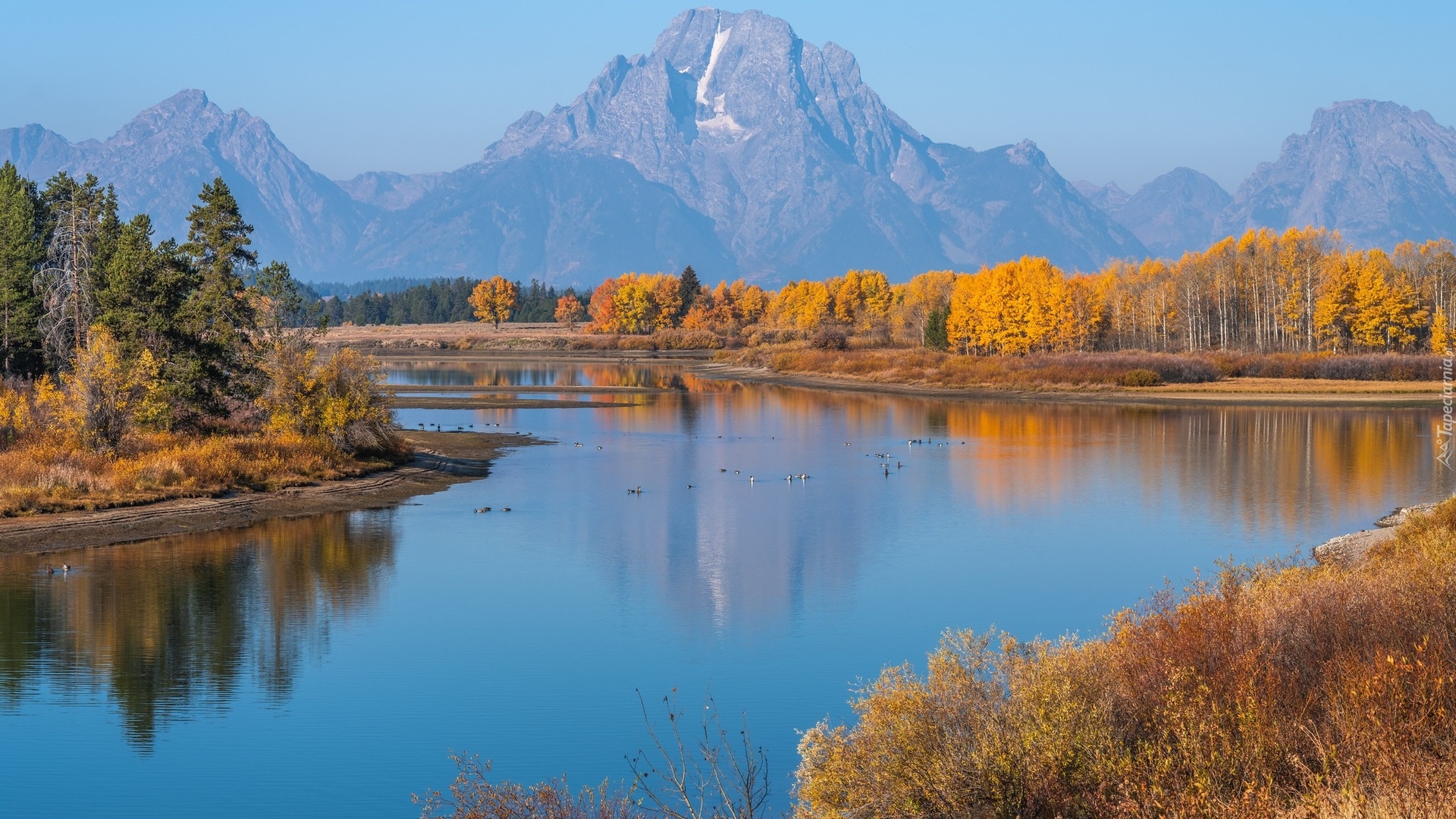 Park Narodowy Grand Teton, Rzeka, Snake River, Góry, Teton Range, Drzewa, Jesień, Stan Wyoming, Stany Zjednoczone