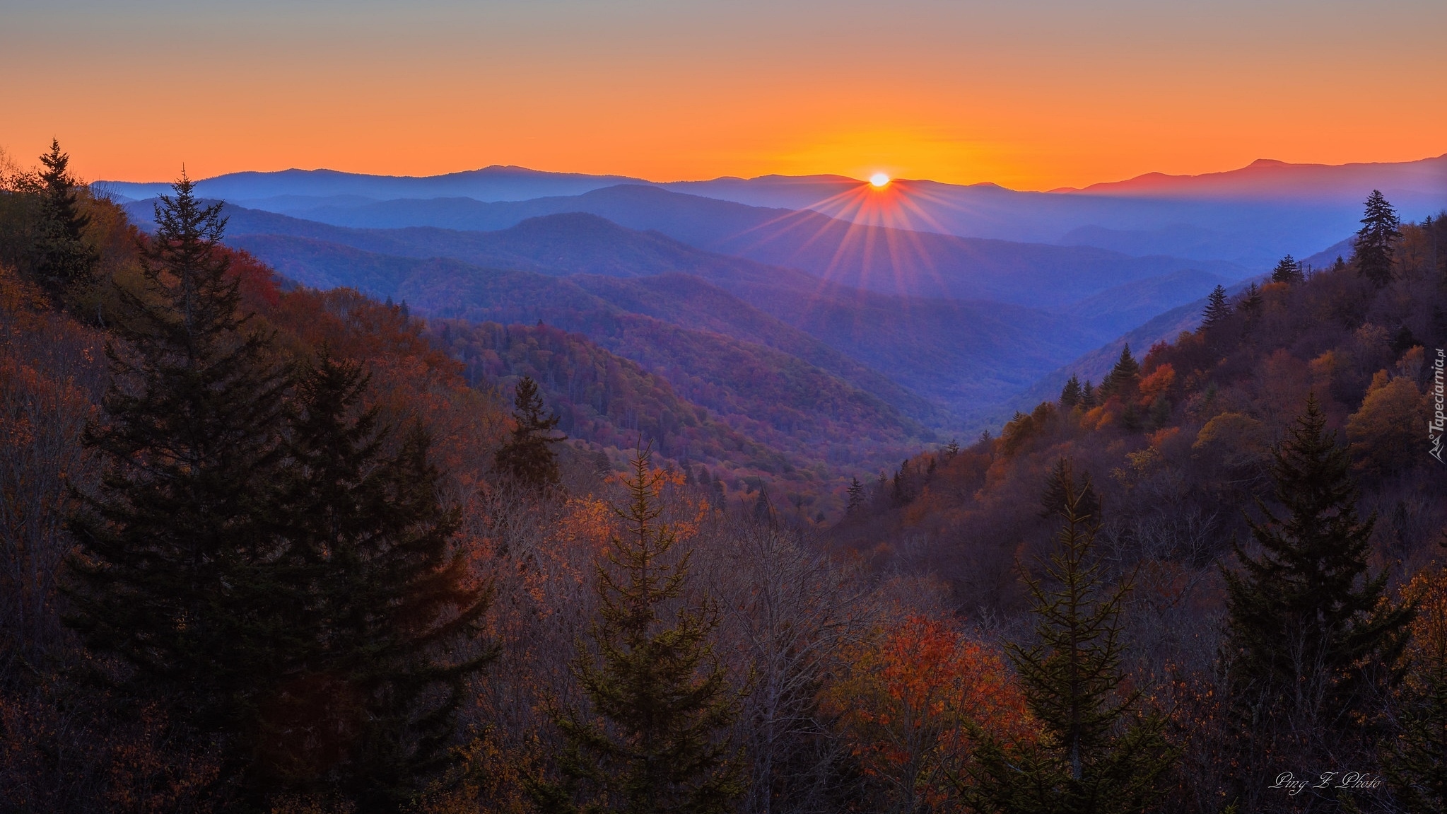 Stany Zjednoczone, Stan Karolina Północna, Park Narodowy Great Smoky Mountains, Góry, Great Smoky Mountains, Wschód słońca, Las