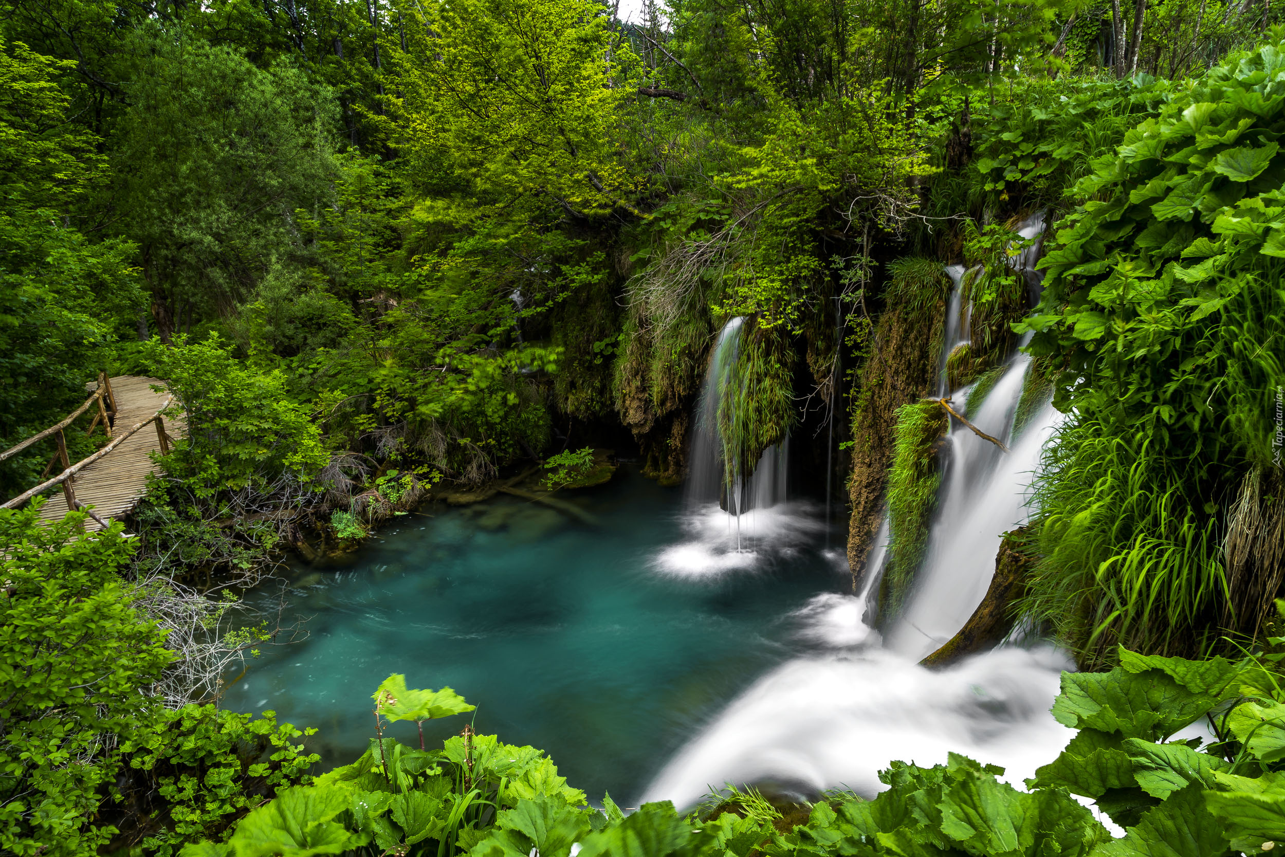 Park Narodowy Jezior Plitwickich, Chorwacja, Wodospad, Roślinność, Mostek