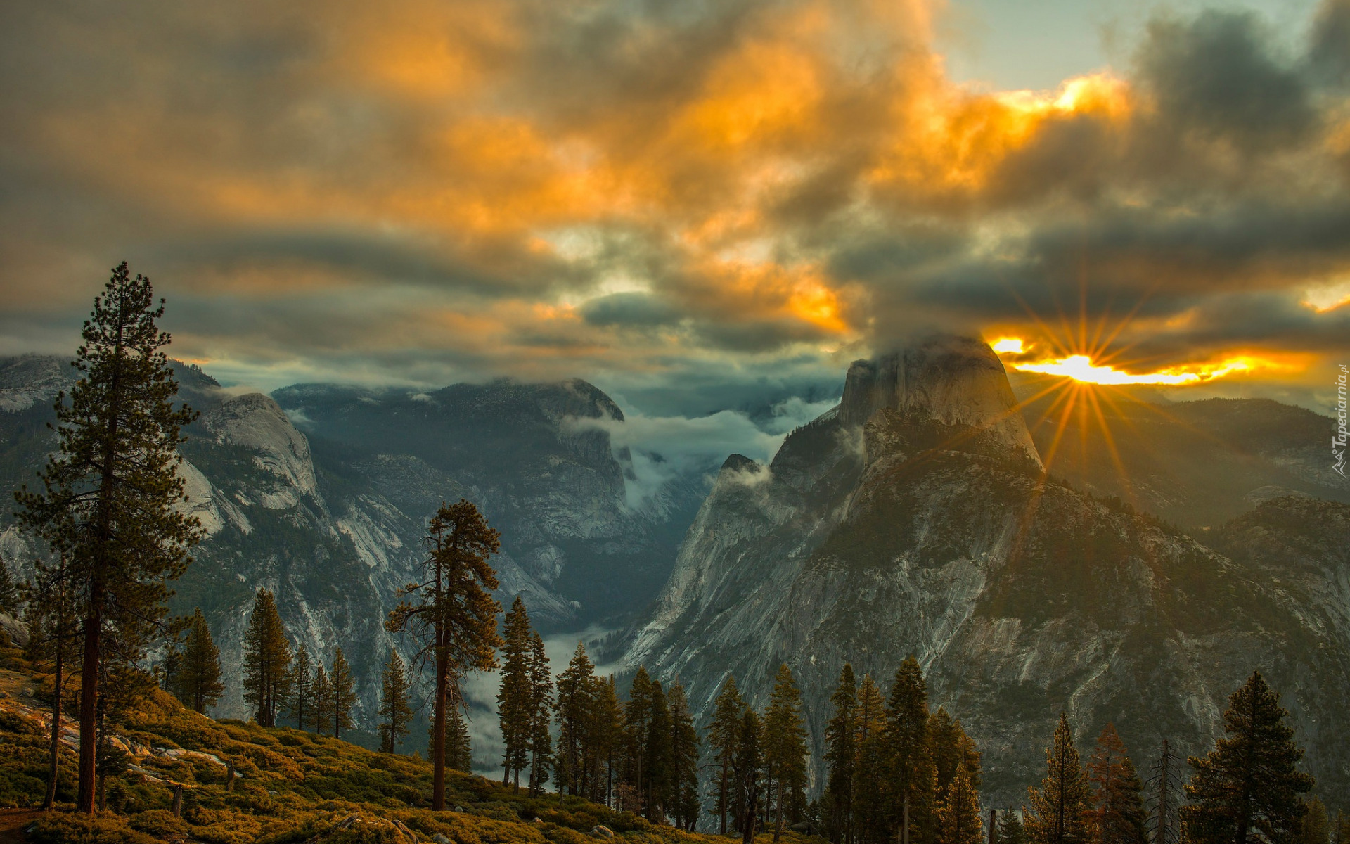 Park Narodowy Yosemite, Drzewa, Świerki, Niebo, Słońce, Promienie, Góry, Skały, Mgła, Kalifornia, Stany Zjednoczone