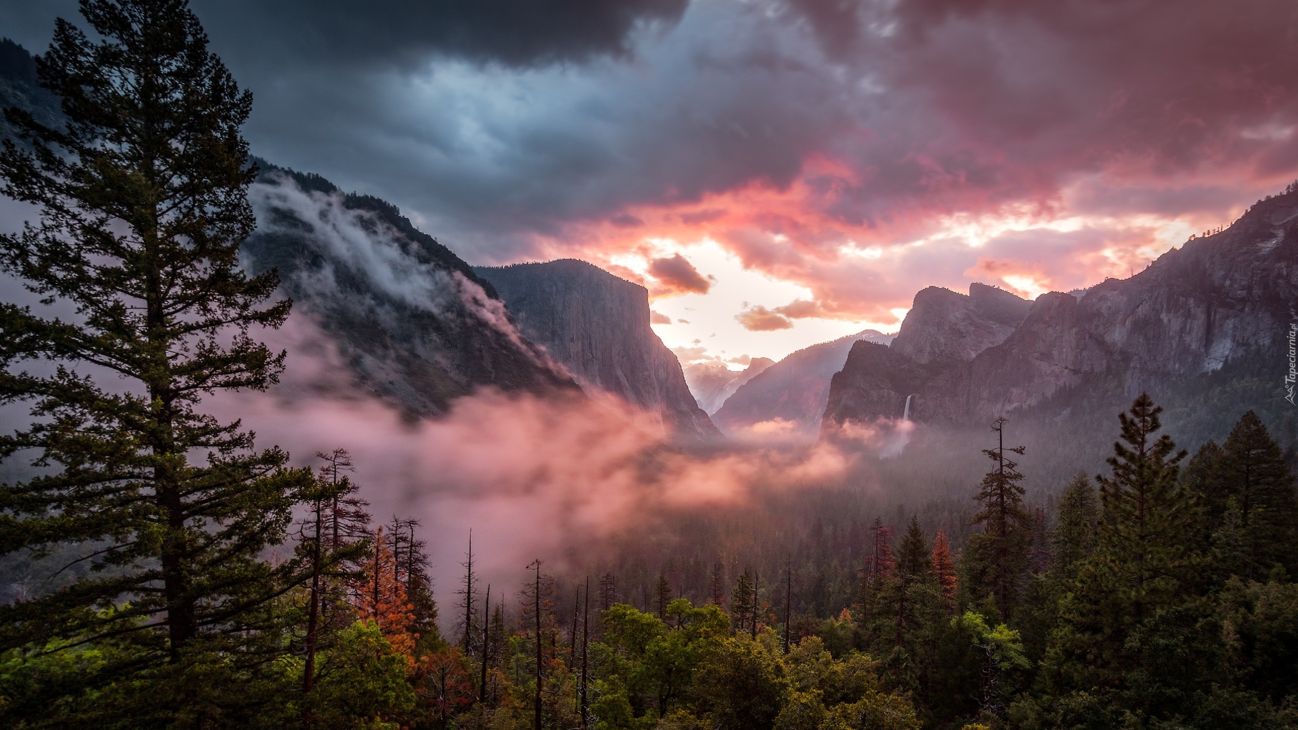 Stany Zjednoczone, Stan Kalifornia, Park Narodowy Yosemite, Góry Sierra Nevada, Mgła, Chmury, Drzewa, Zachód słońca