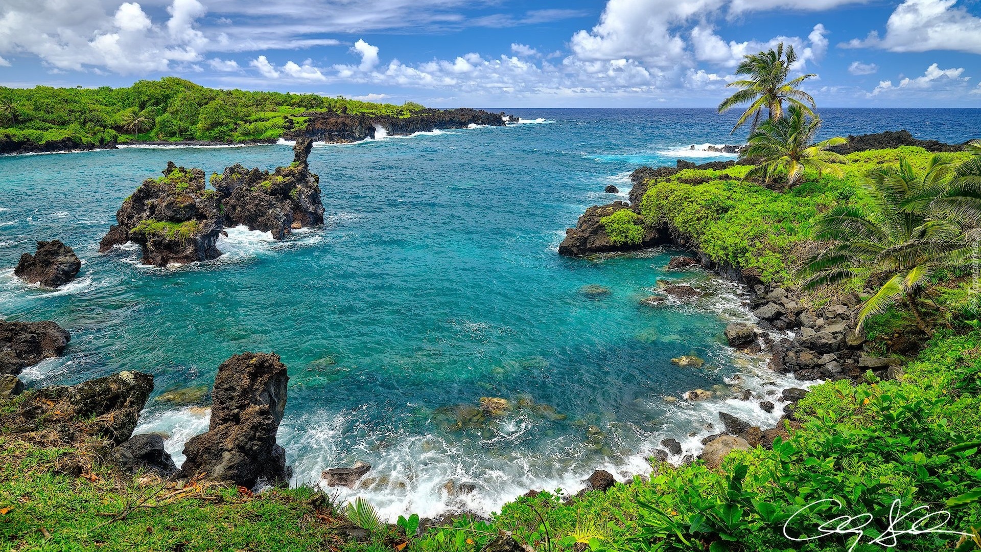 Stany Zjednoczone, Hawaje, Wyspa Maui, Park stanowy Waianapanapa, Morze, Skały, Palmy