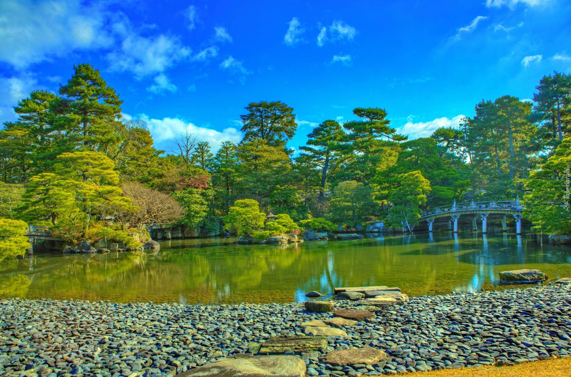 Japonia, Kioto, Park, Most, Staw, Drzewa