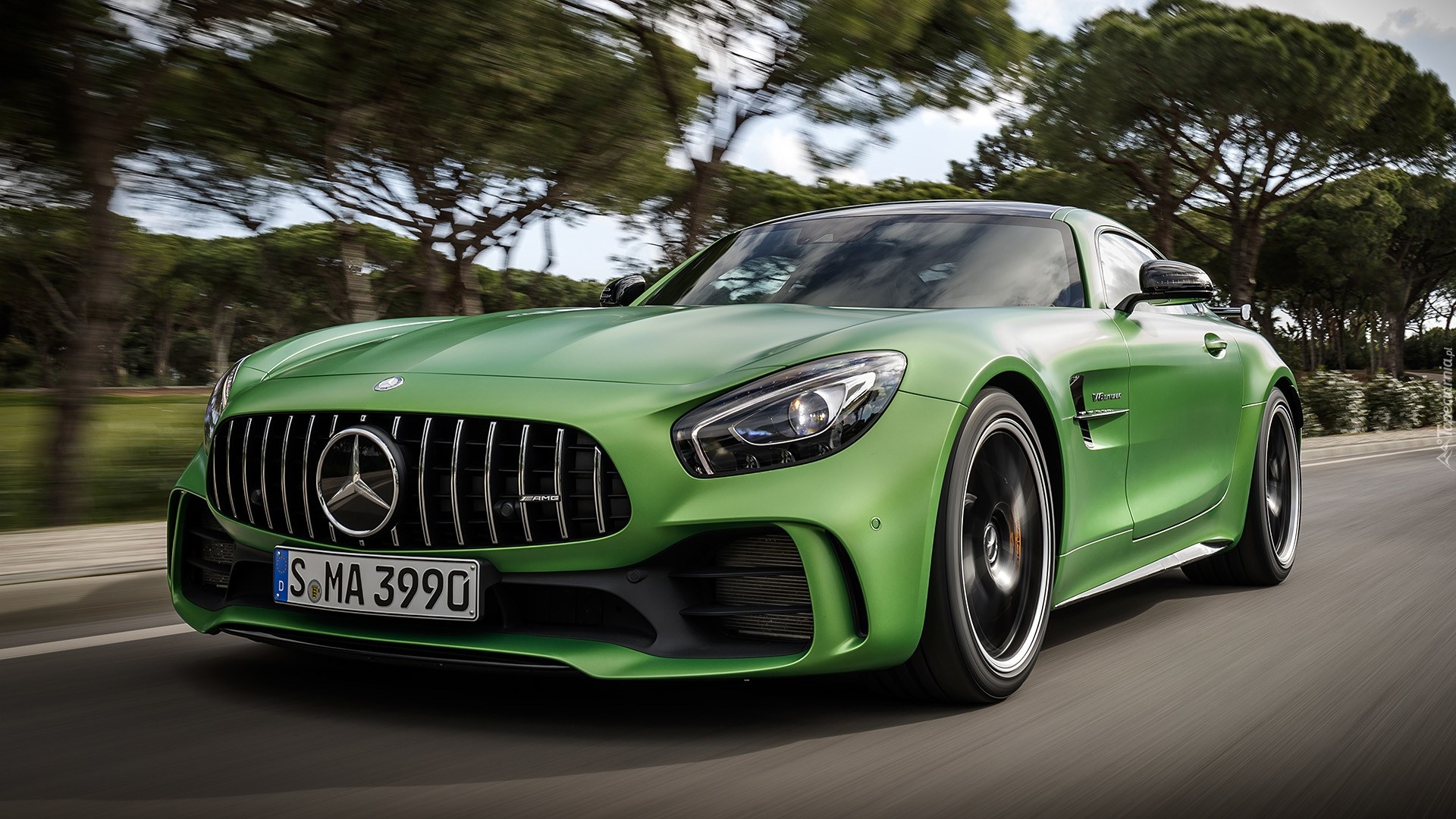 Mercedes-AMG GT R, Coupe