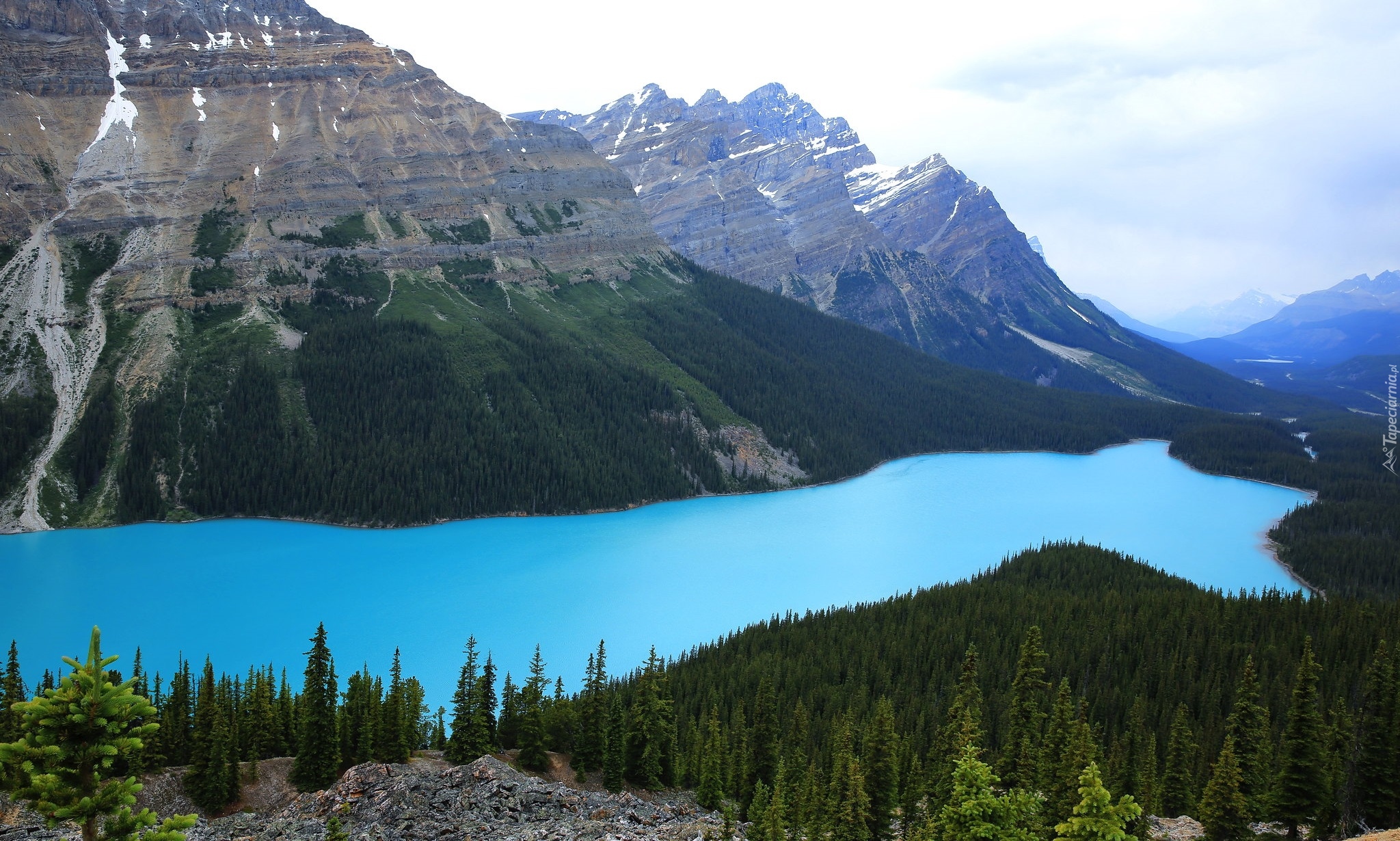 Park Narodowy Banff, Jezioro, Peyto Lake, Góry, Drzewa, Prowincja Alberta, Kanada