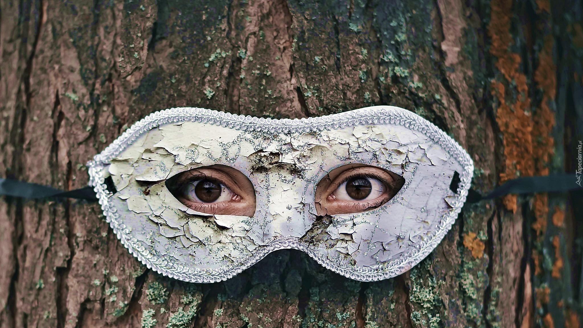 Maska, Oczy, Drzewo