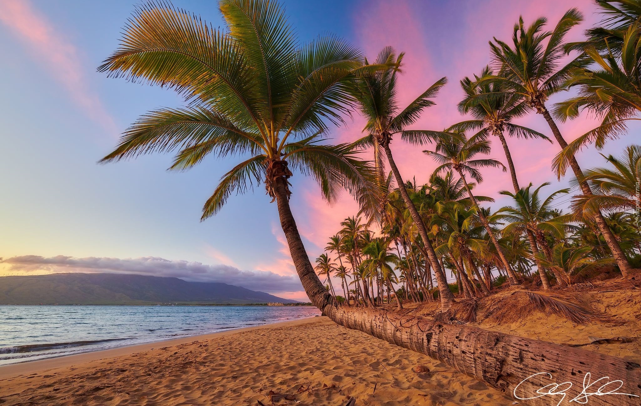 Hawaje, Wyspa Maui, Wybrzeże, Morze, Palmy, Zachód słońca, Plaża