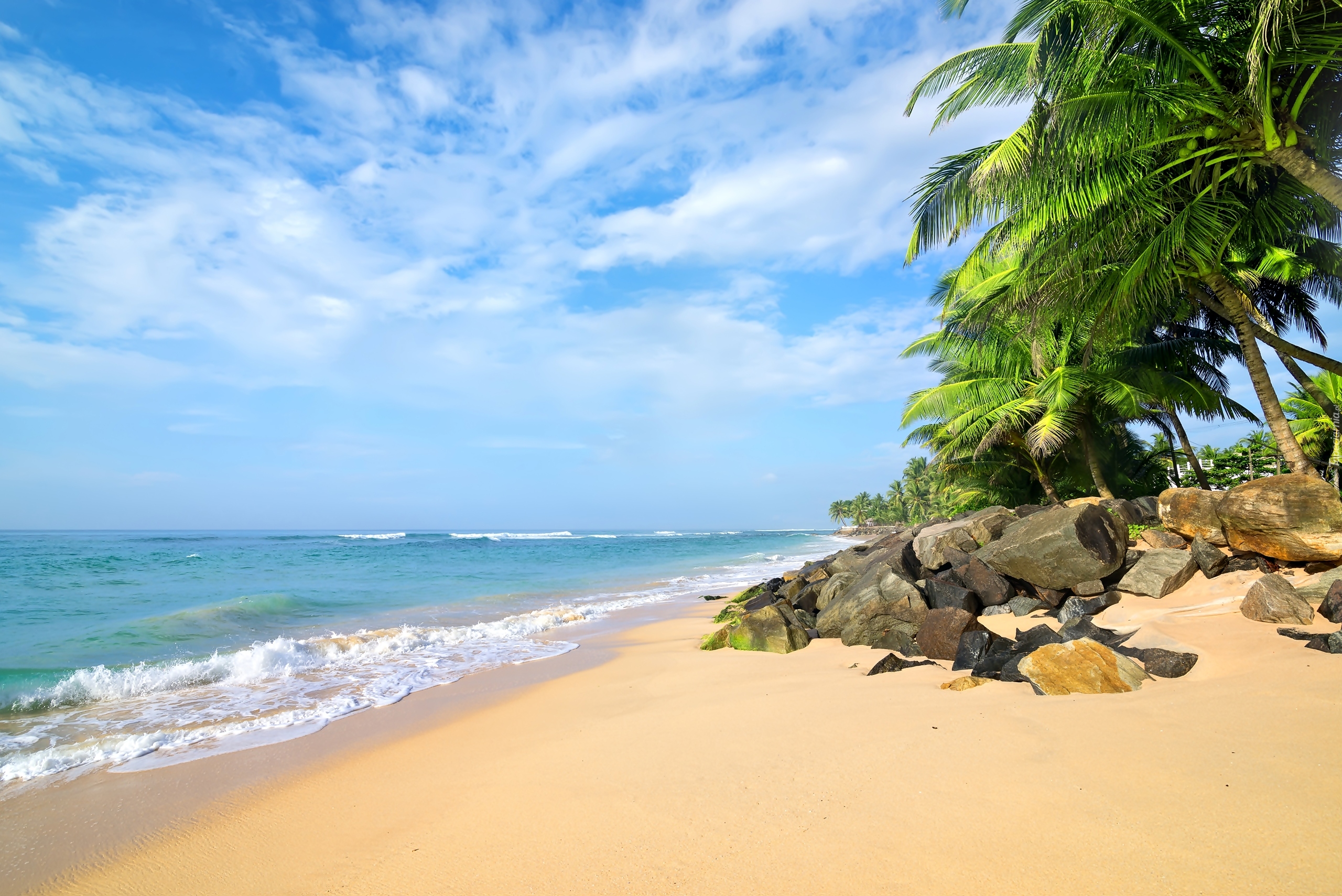 Sri Lanka, Morze, Plaża, Kamienie, Palmy