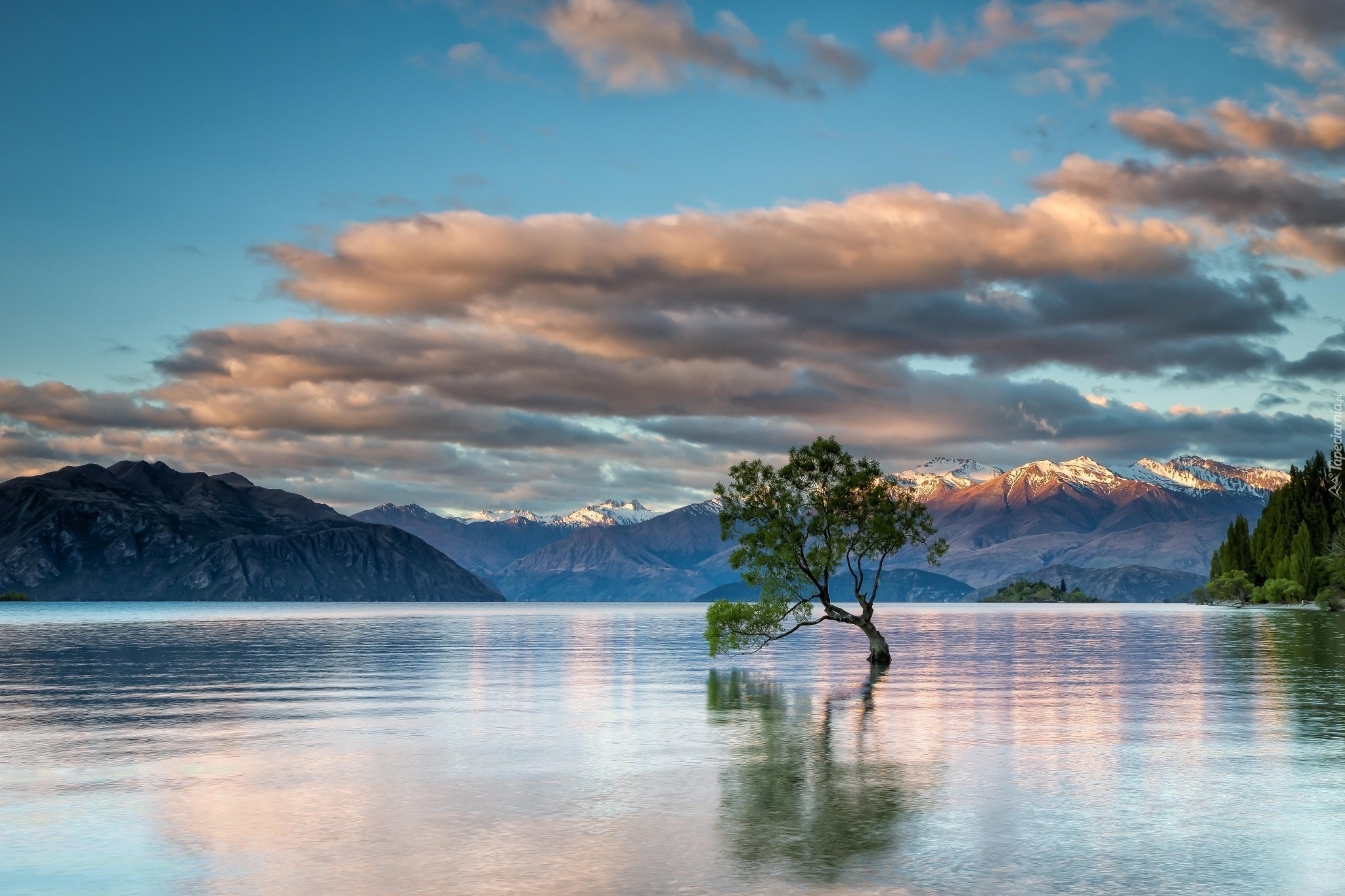 Nowa Zelandia, Jezioro Wanaka, Góry, Drzewo, Chmury