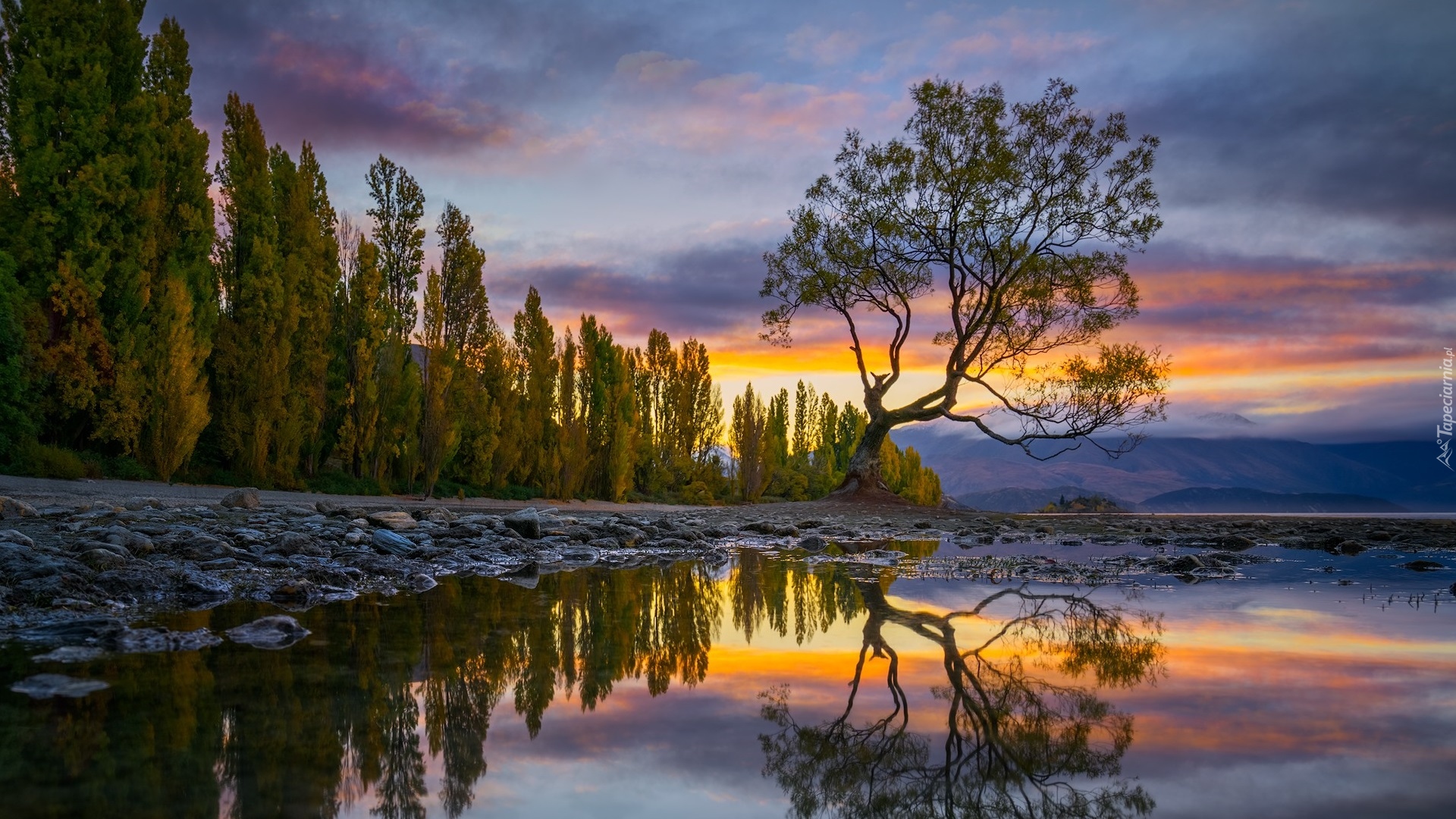 Jezioro Wanaka, Drzewo, Góry, Jesień, Chmury, Odbicie, Nowa Zelandia