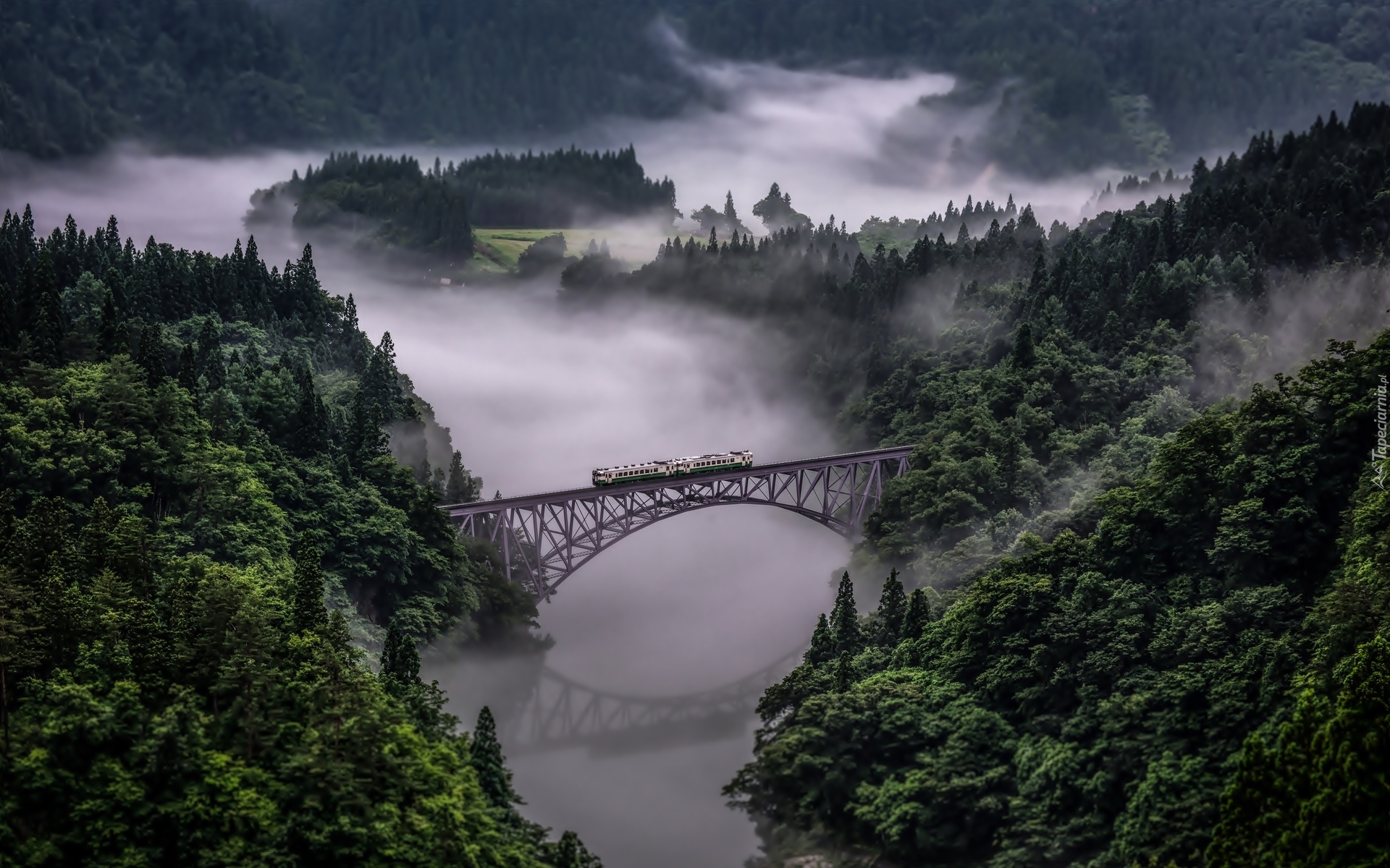 Japonia, Prefektura Fukushima, Prefektura Niigata, Most Tadami River Bridge, Rzeka Tadami, Pociąg, Lasy, Drzewa, Mgła