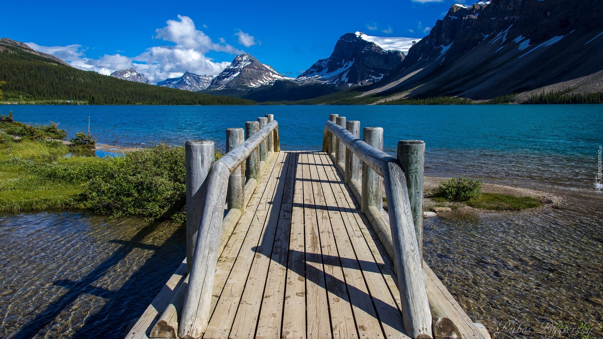 Góry, Jezioro, Bow Lake, Pomost, Krzewy, Park Narodowy Banff, Alberta, Kanada