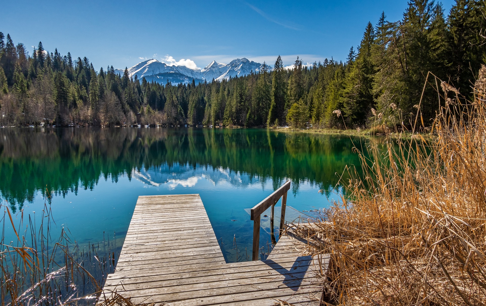 Jezioro, Cresta Lake, Pomost, Drzewa, Trzcina, Góry, Alpy, Kanton Gryzonia, Szwajcaria