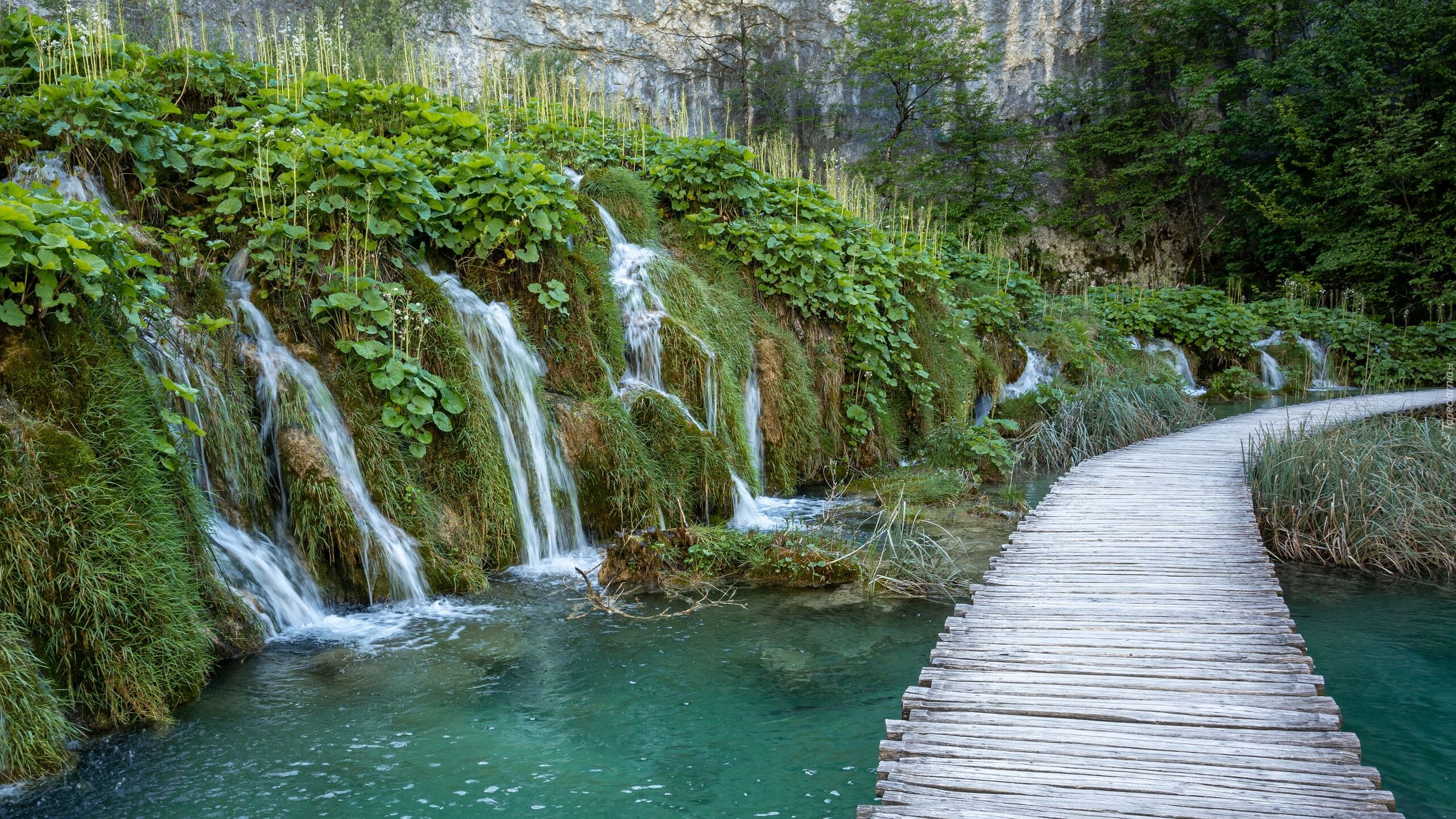 Chorwacja, Plitwice, Park Narodowy Jezior Plitwickich, Wodospady, Rzeka, Pomost