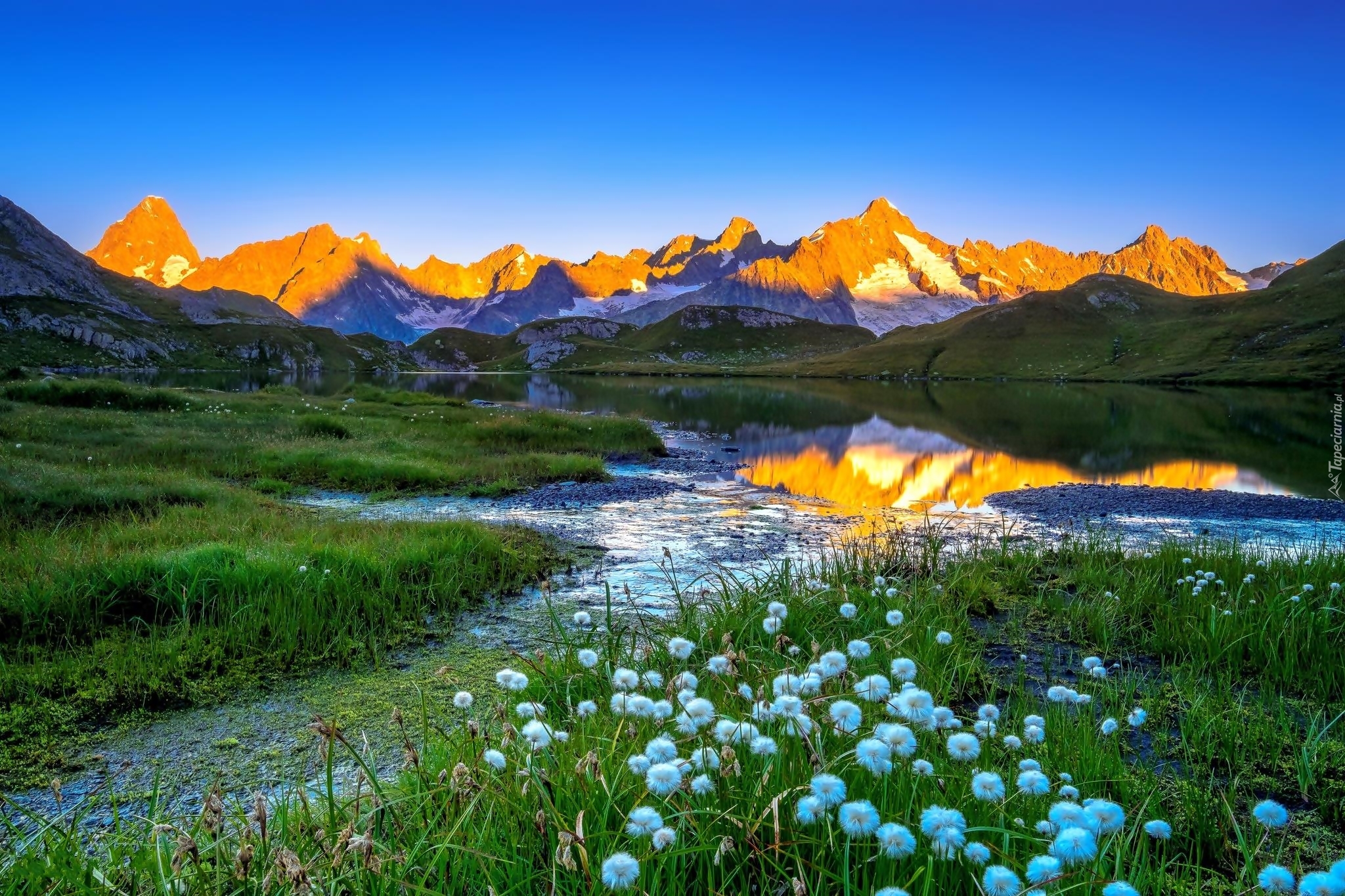 Alpy Graickie, Mont Blanc, Jezioro, Łąka