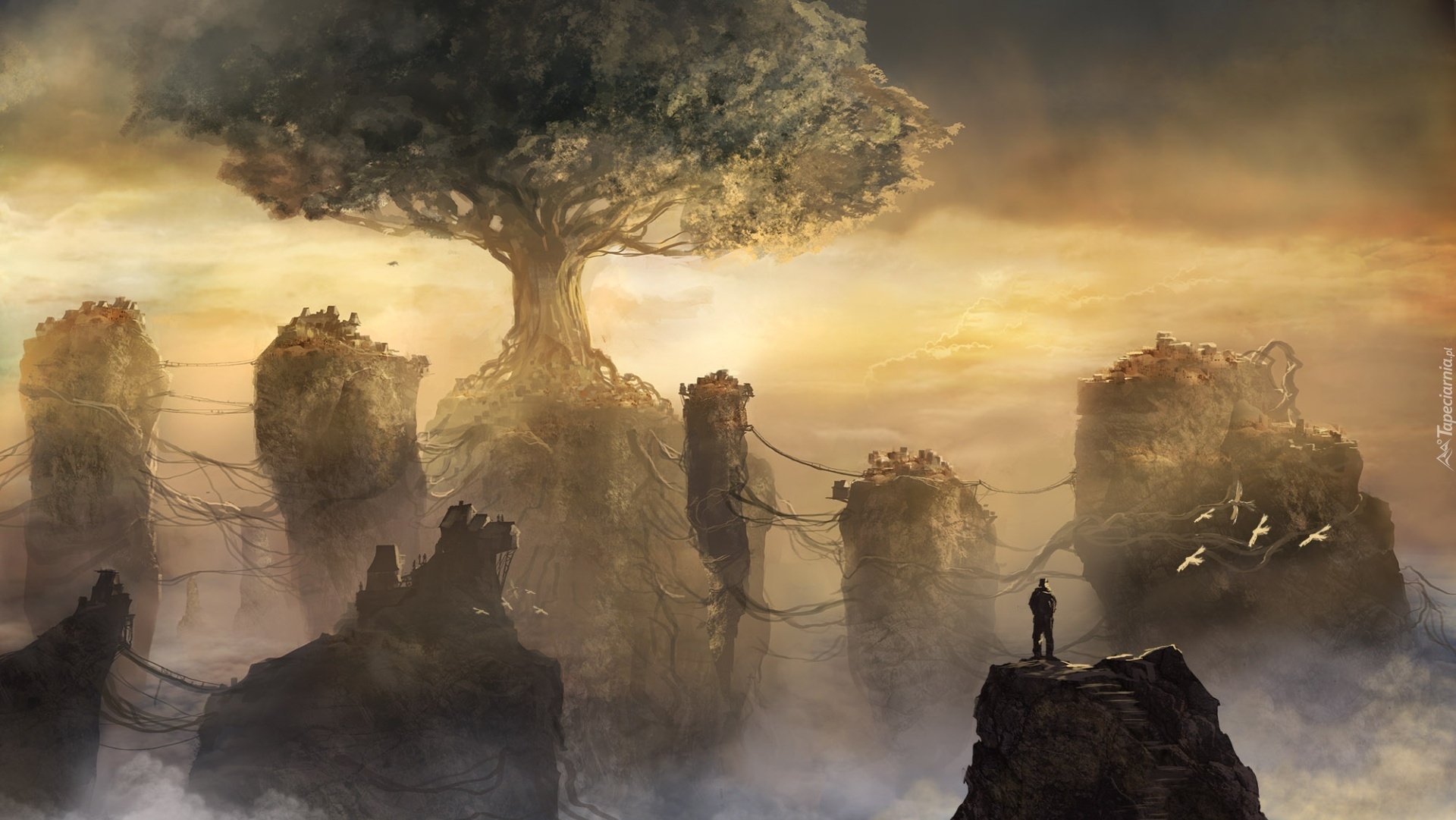 Drzewo, Skały, Mgła, Człowiek, Fantasy