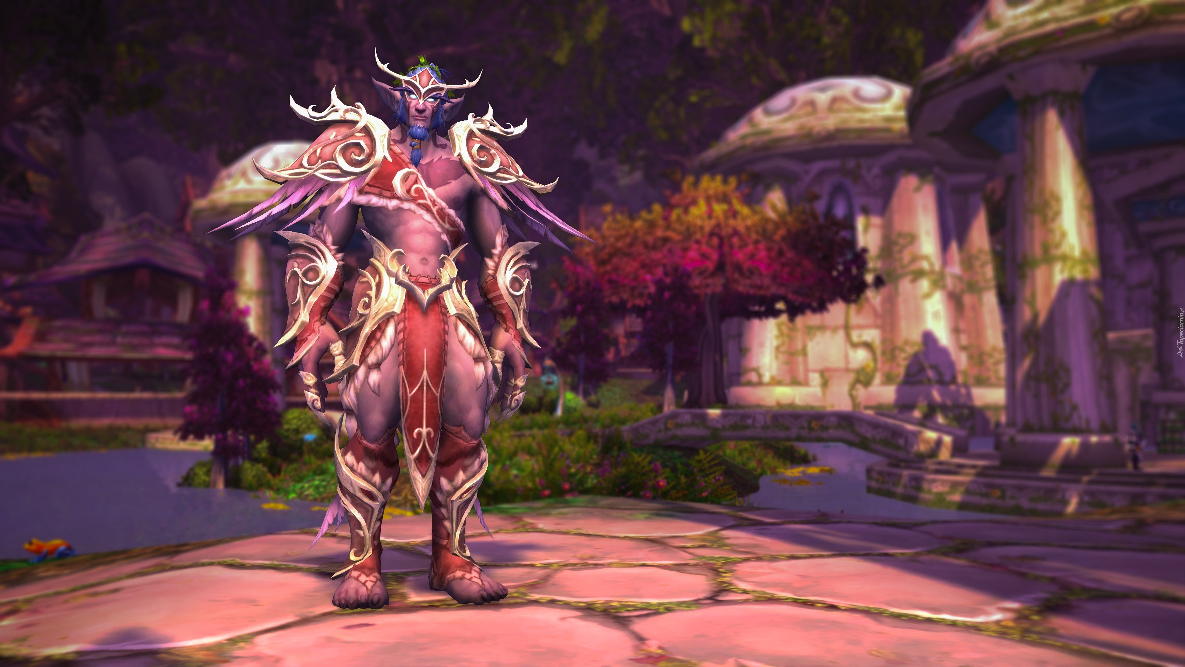 Postać, Gra, World of Warcraft Dragonflight