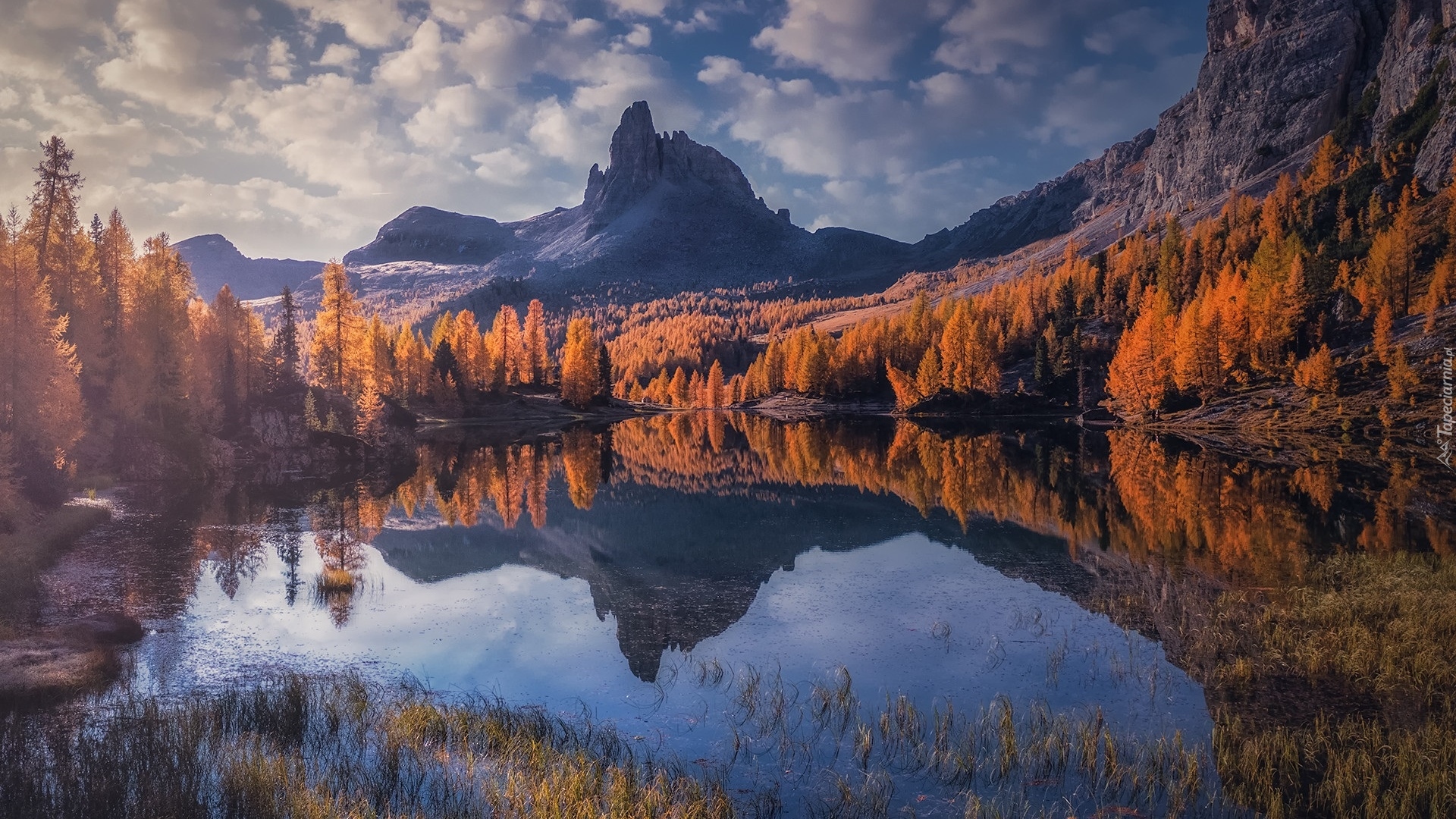 Jesień, Góry, Jezioro, Lago Federa, Żółte, Drzewa, Modrzew, Trawa, Włochy