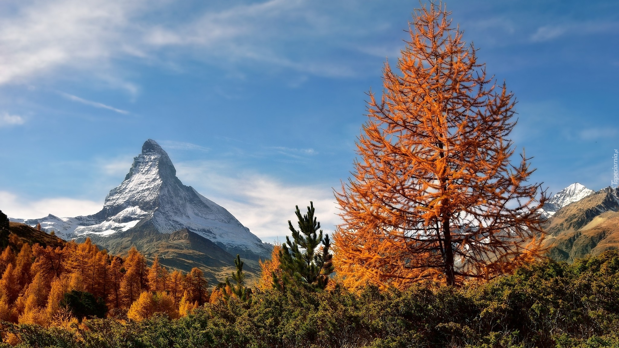 Góra, Szczyt Matterhorn, Góry, Alpy Pennińskie, Jesień, Drzewa, Żółte, Modrzewie, Szwajcaria
