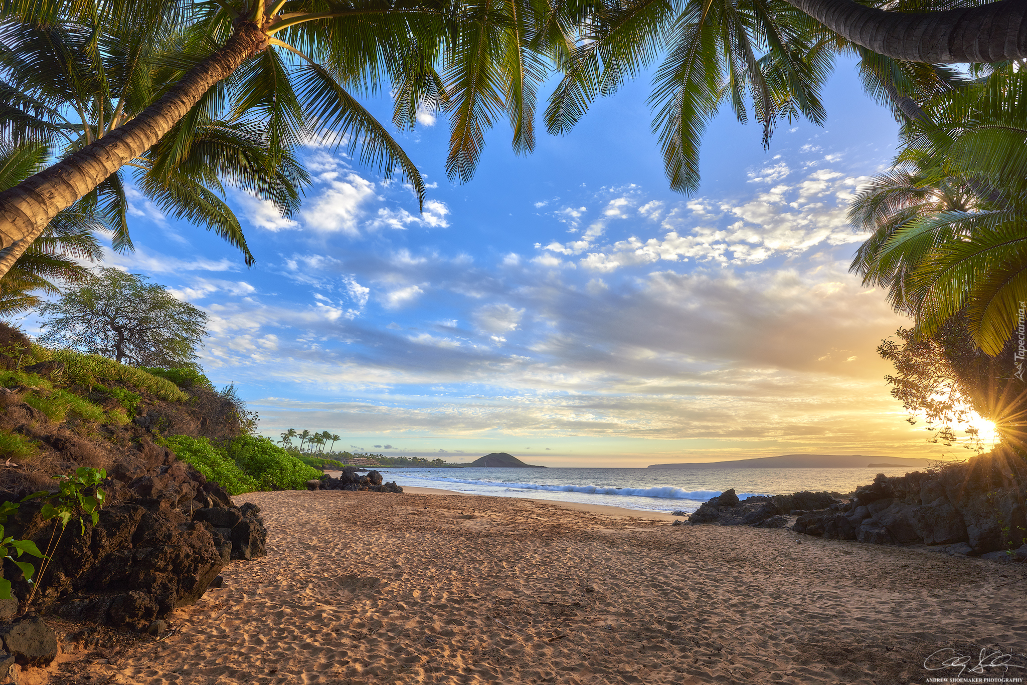 Hawaje, Promienie słońca, Morze, Plaża, Palmy